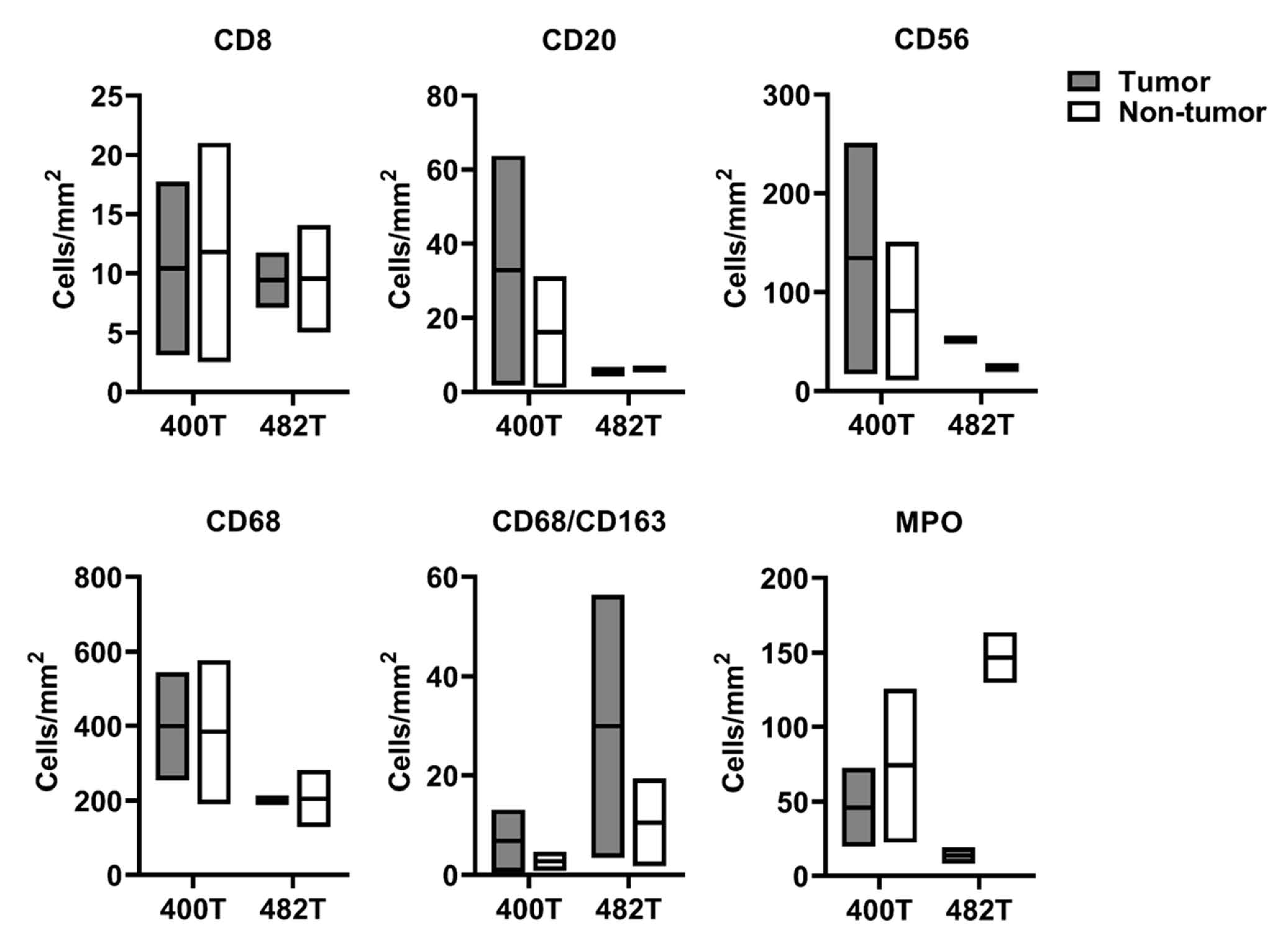 Cancers 13 00520 g008 Cancers 13 00520 g008