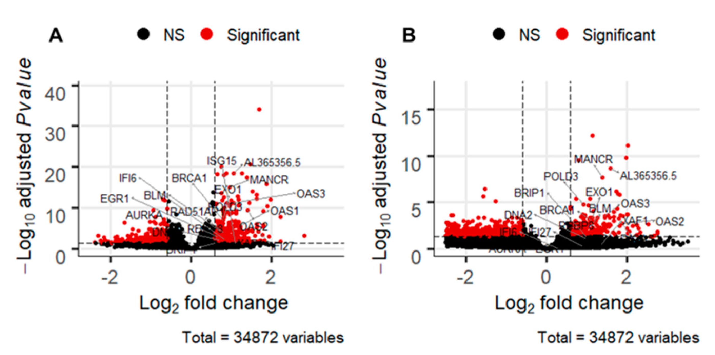 Cancers 13 00527 g005