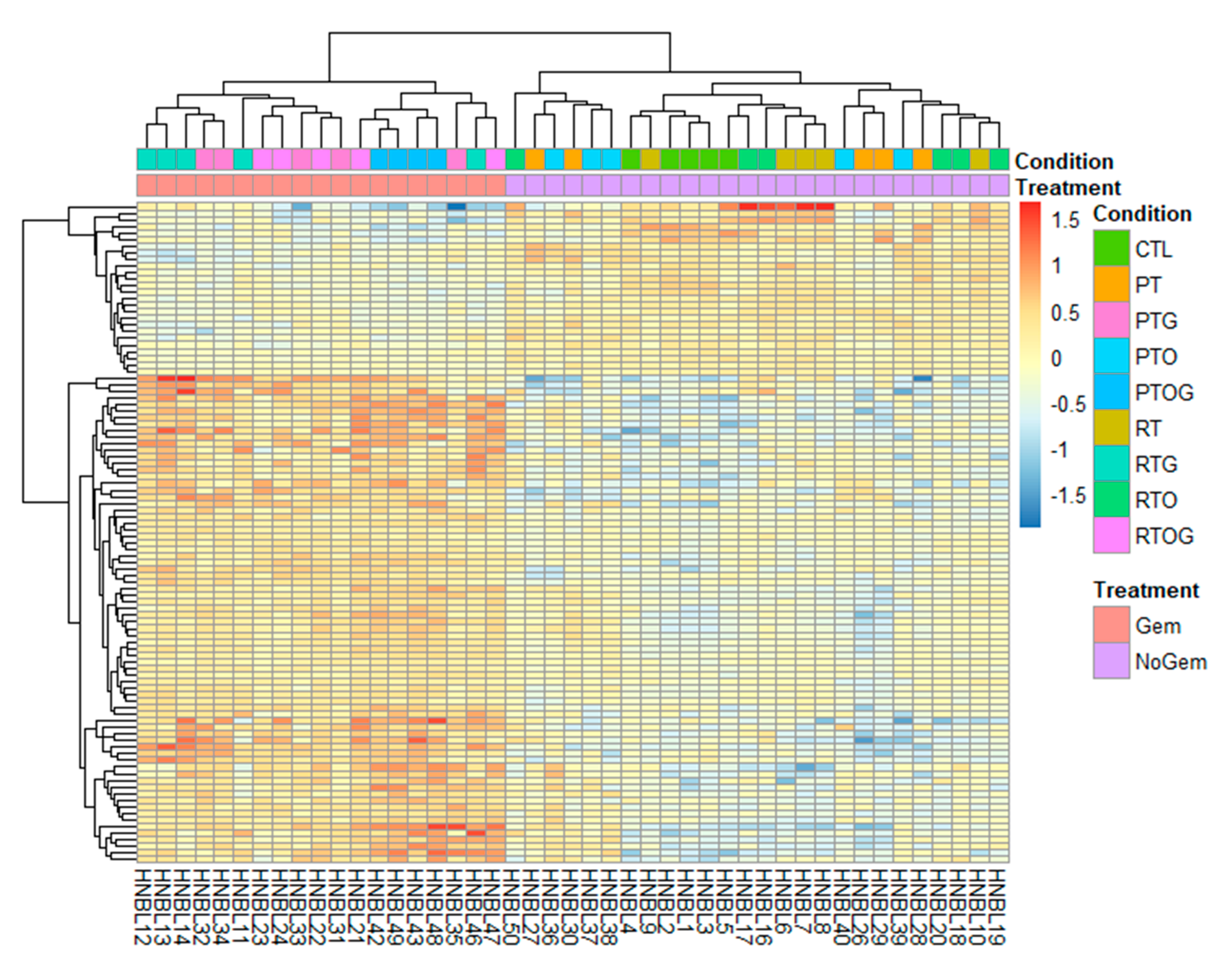 Cancers 13 00527 g007