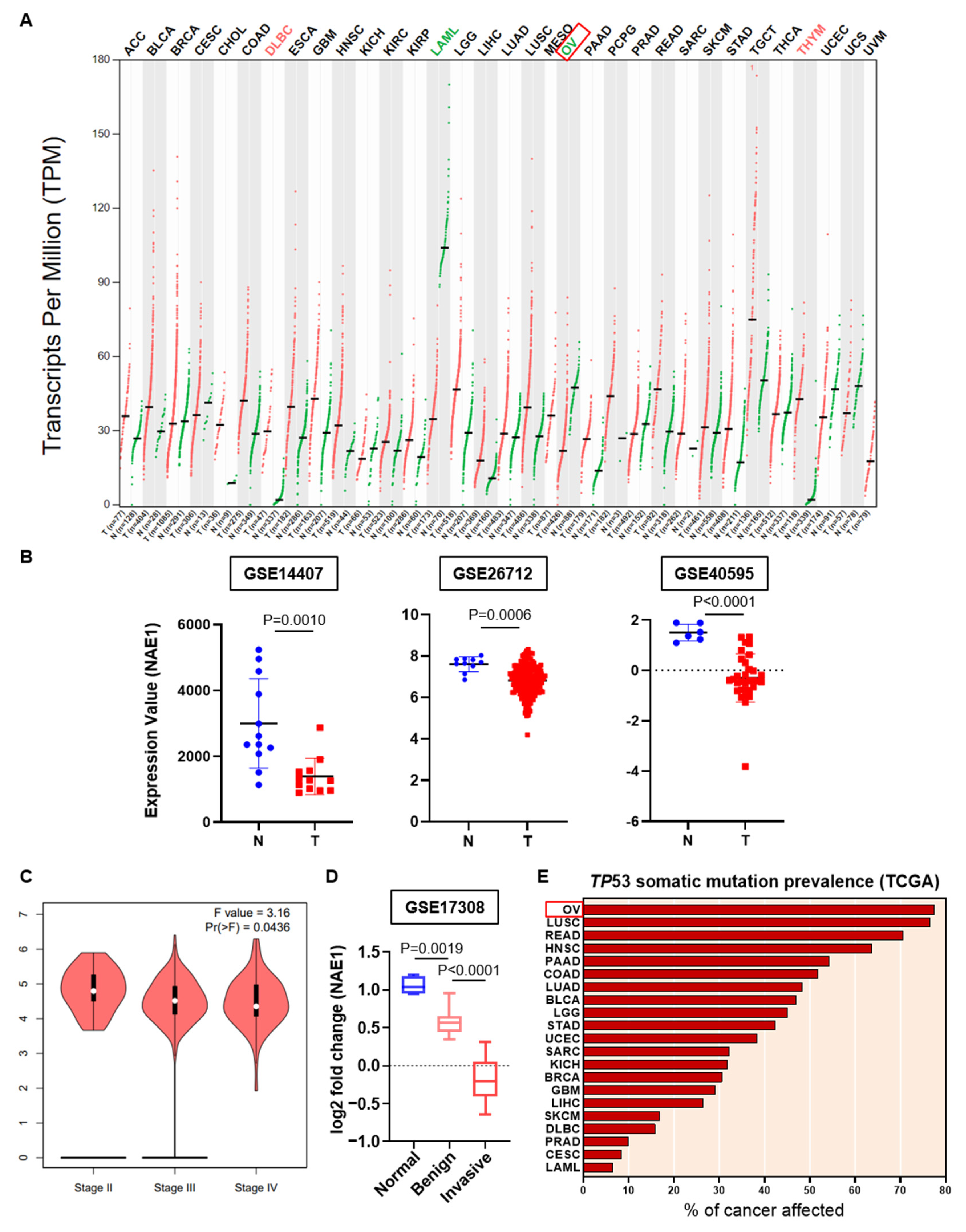 Cancers 13 00531 g002 Cancers 13 00531 g002