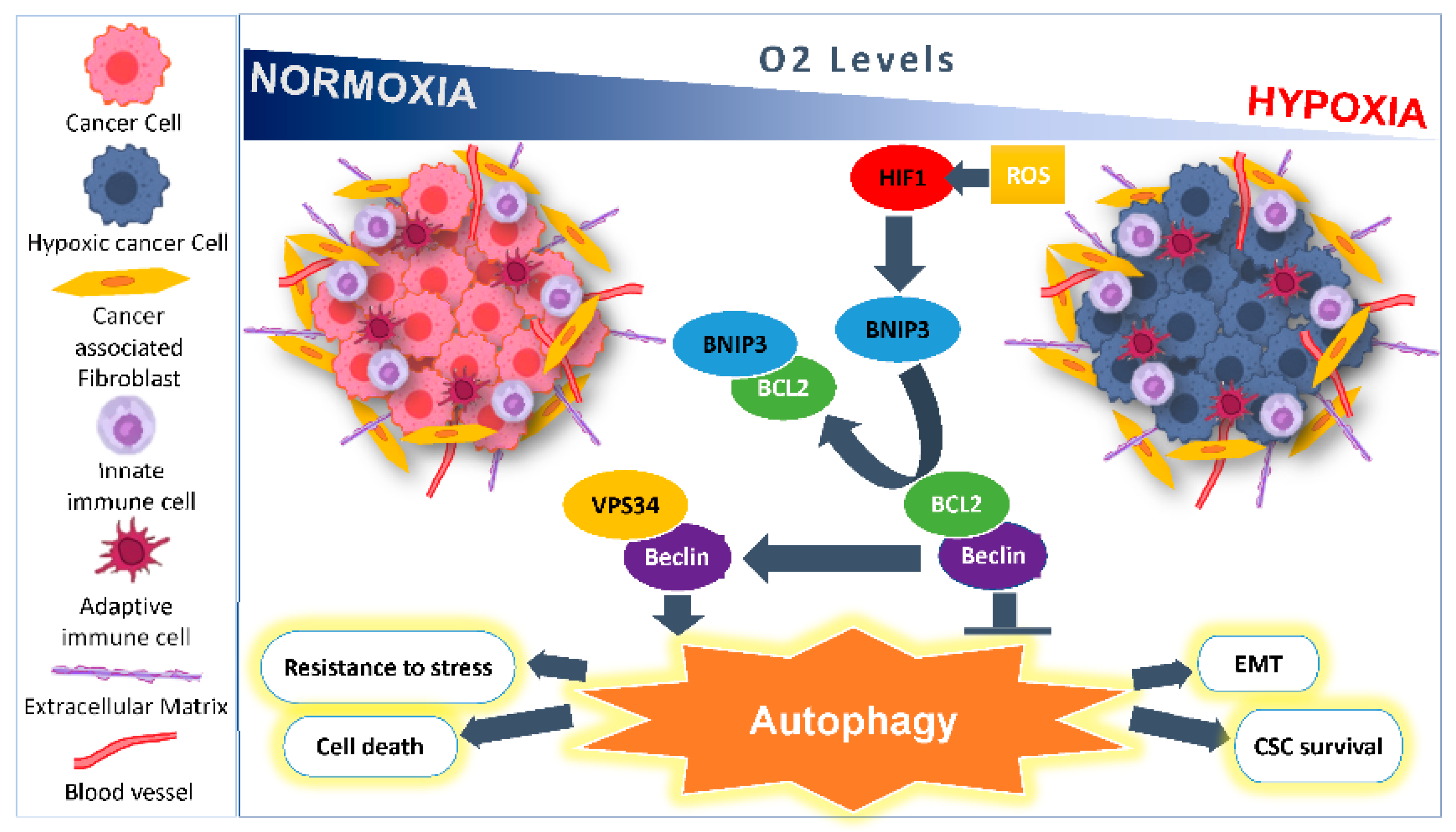 Cancers 13 00533 g002 Cancers 13 00533 g002