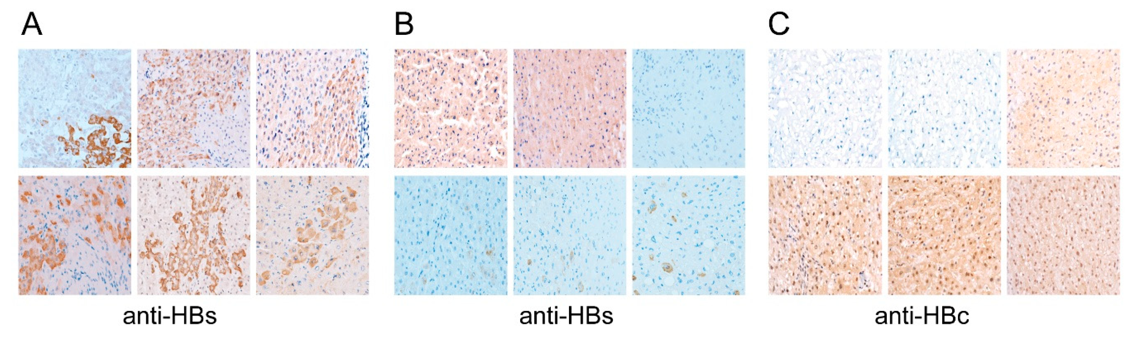 Cancers 13 00538 g003