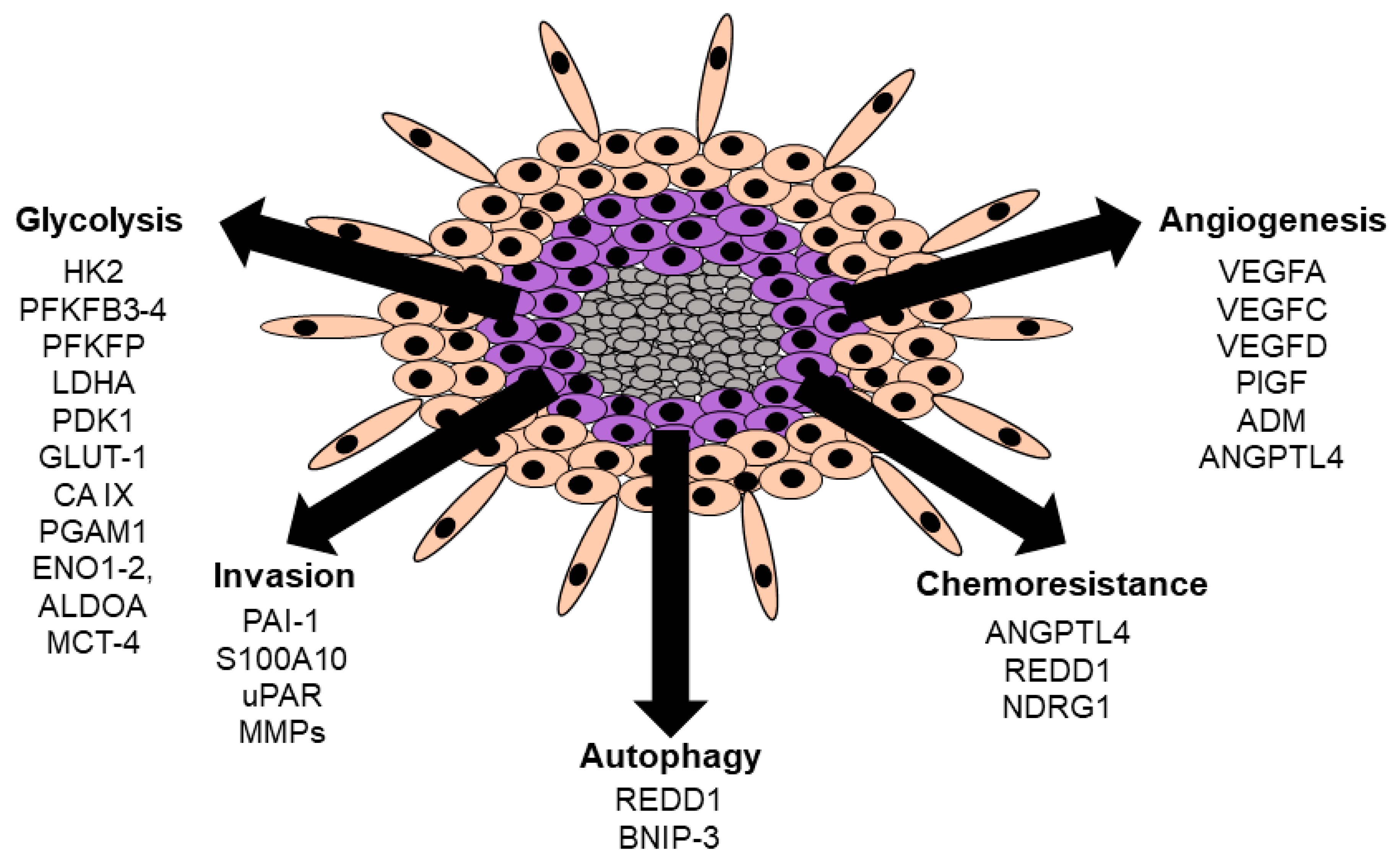 Cancers 13 00542 g004 Cancers 13 00542 g004