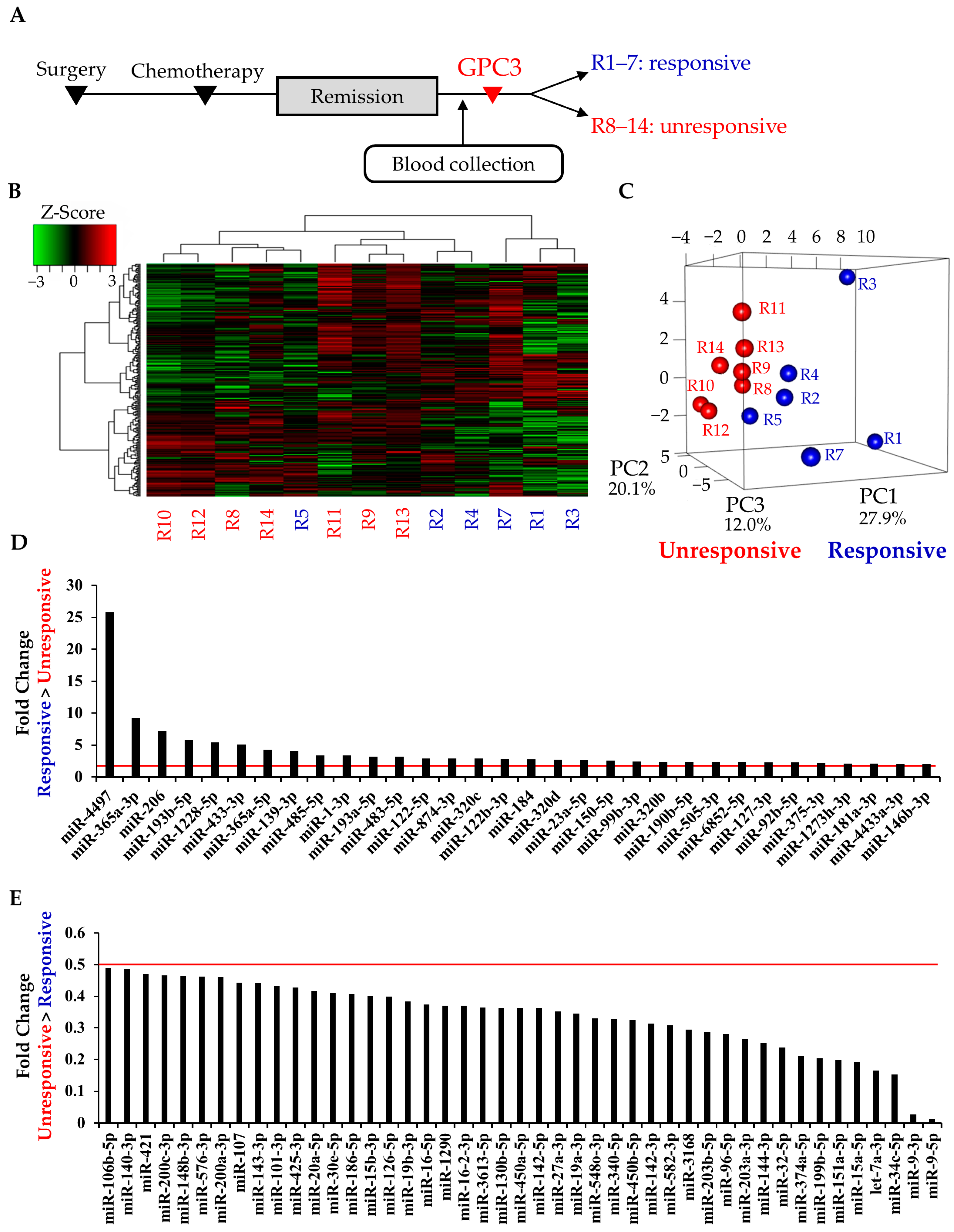 Cancers 13 00550 g002