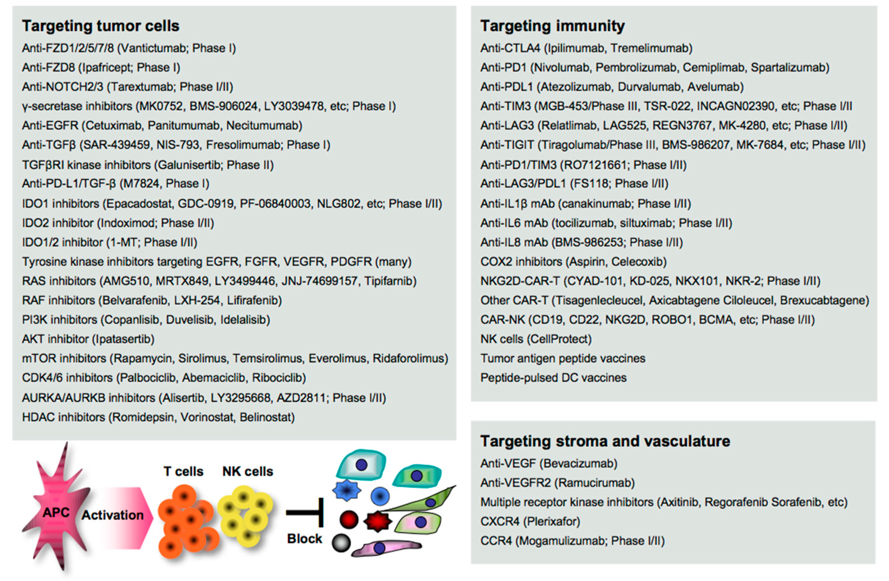 Cancers 13 00554 g003