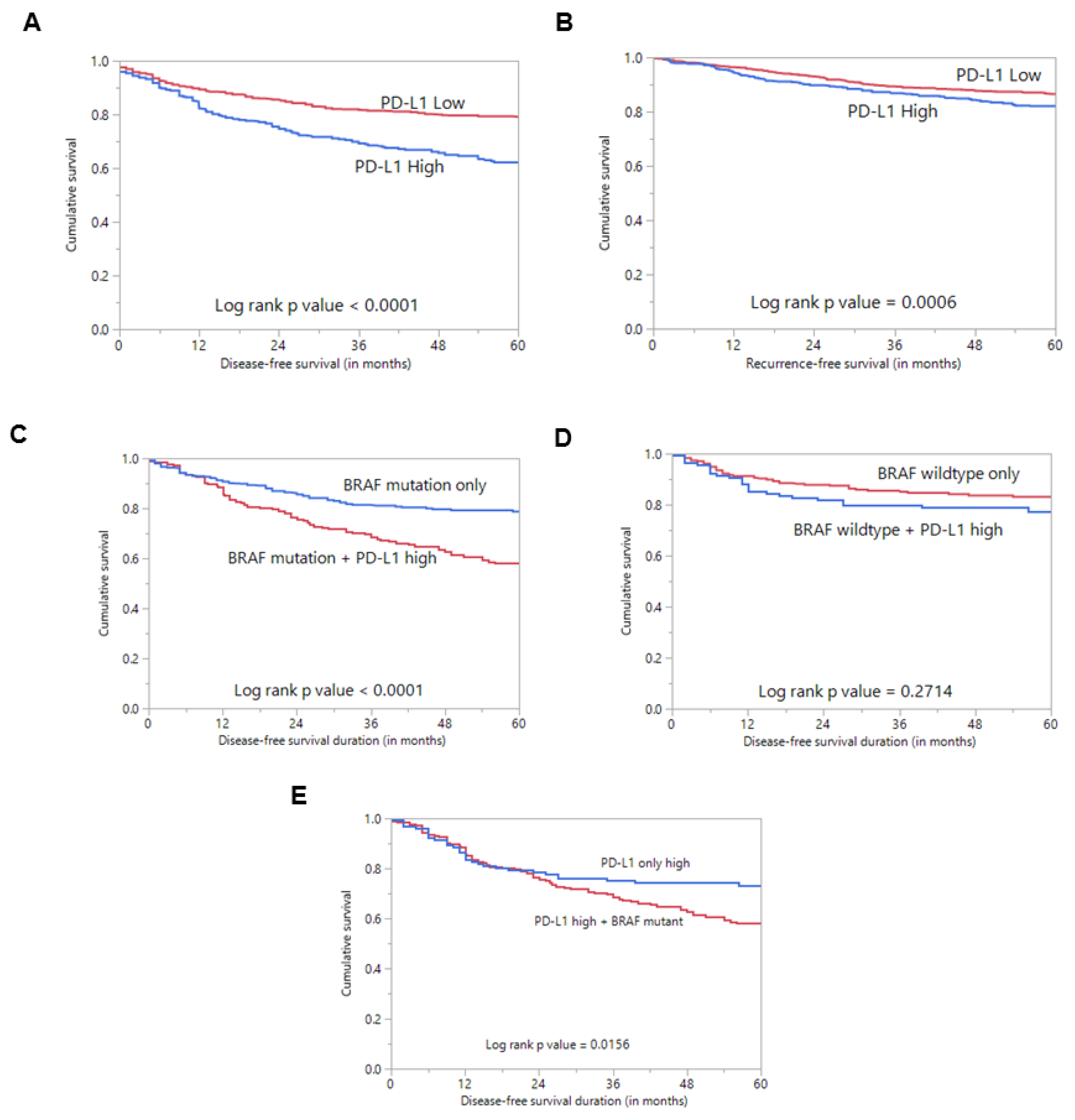 Cancers 13 00555 g002