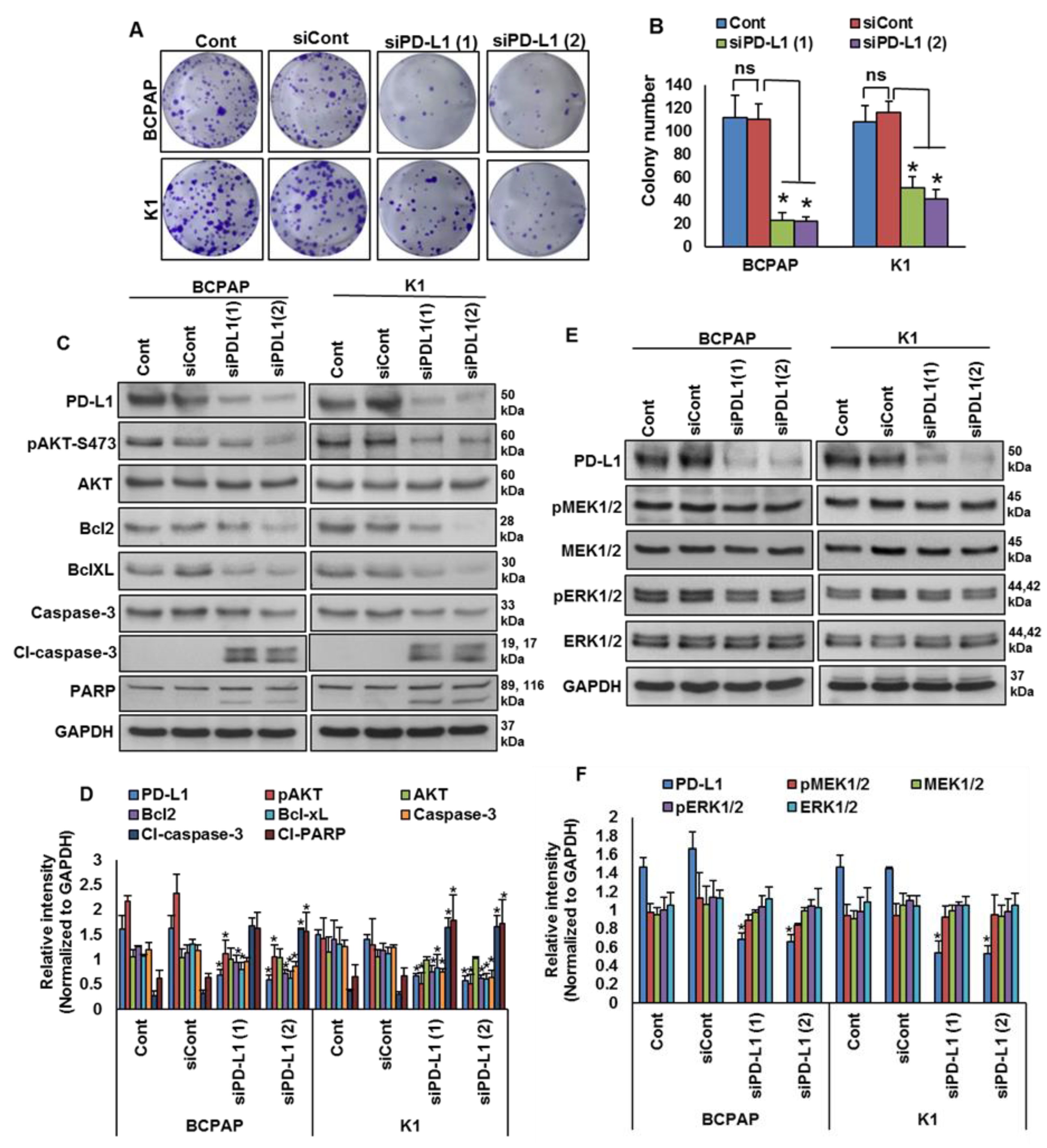 Cancers 13 00555 g005