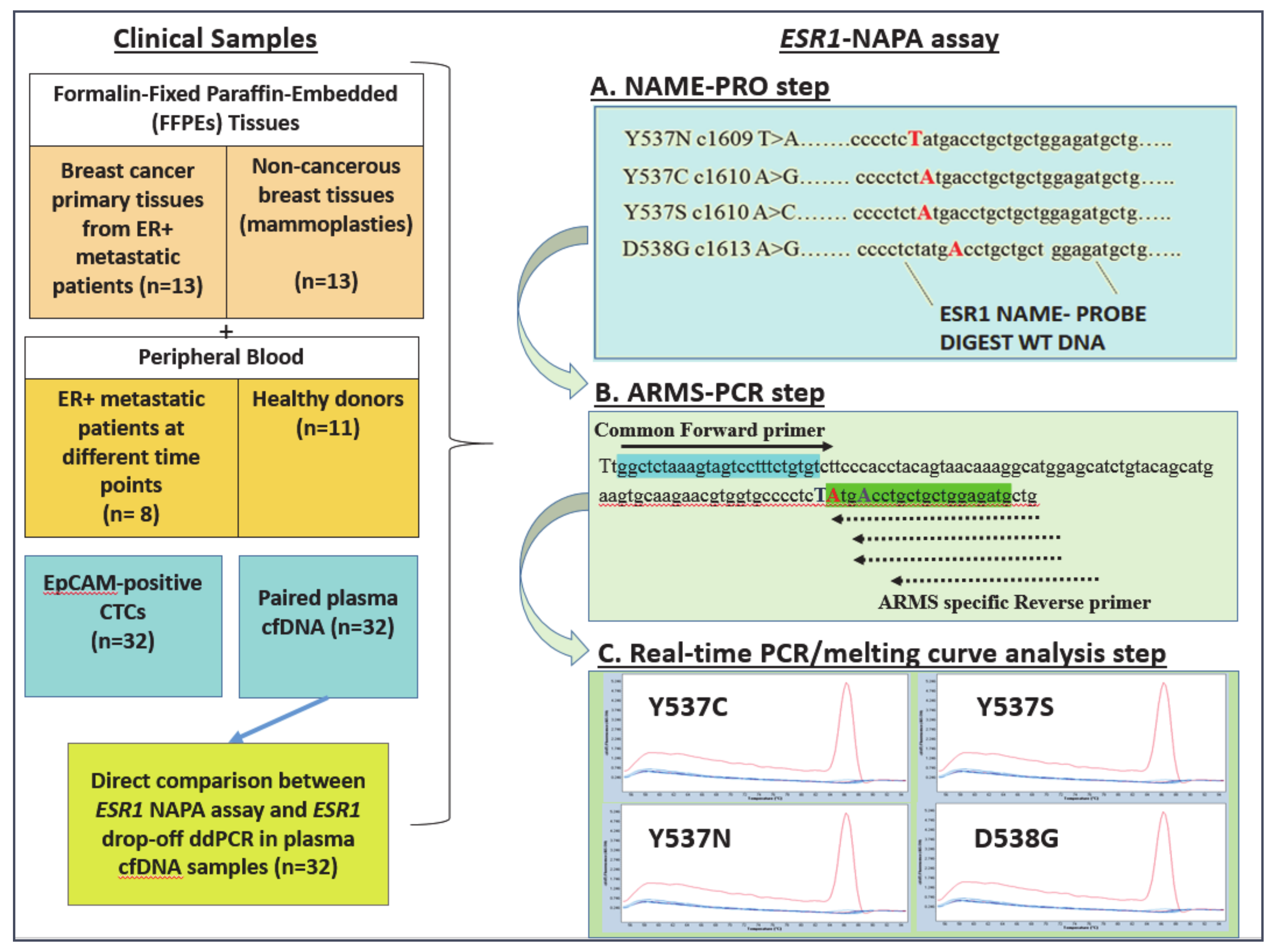 Cancers 13 00556 g001 Cancers 13 00556 g001