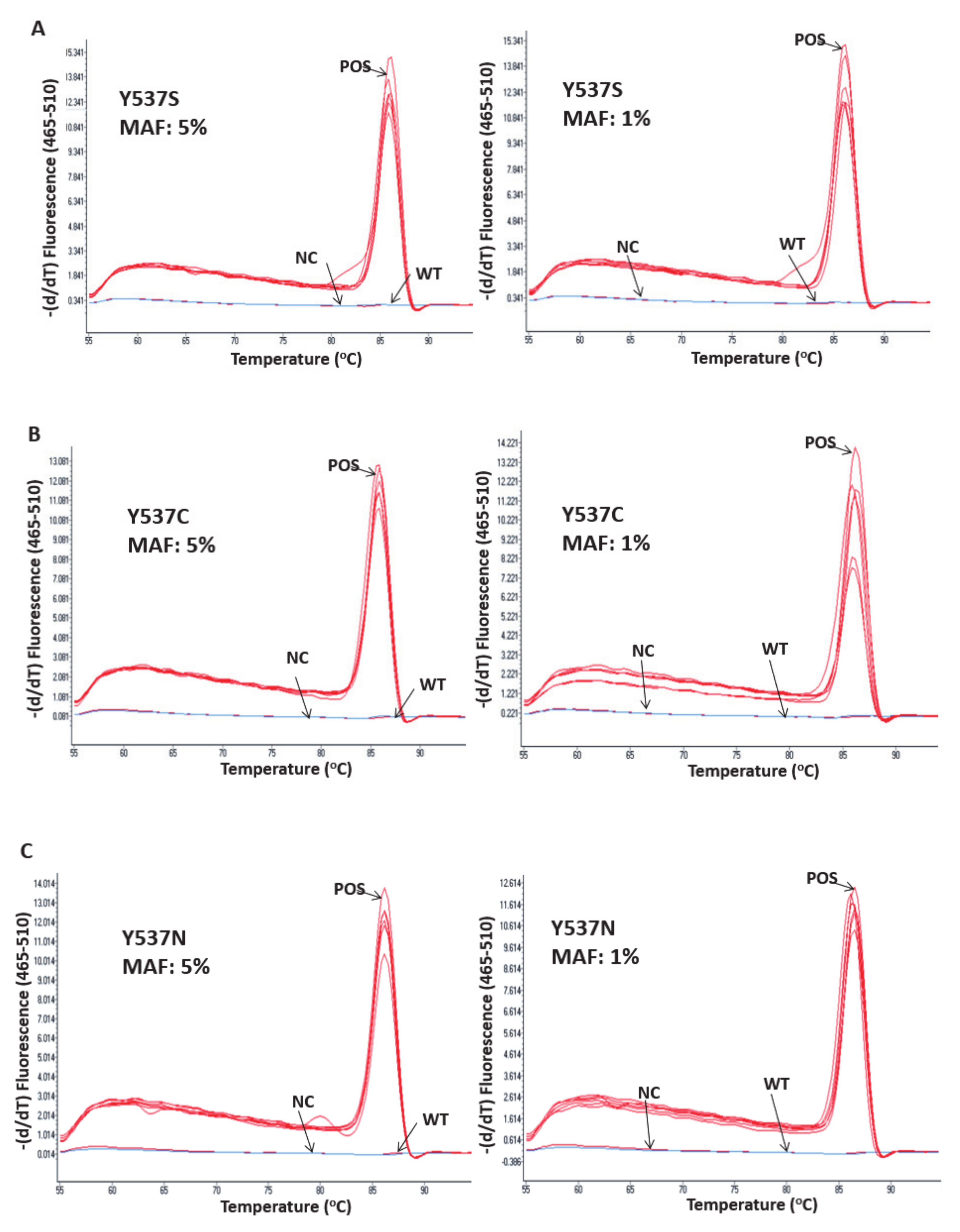 Cancers 13 00556 g002a Cancers 13 00556 g002a