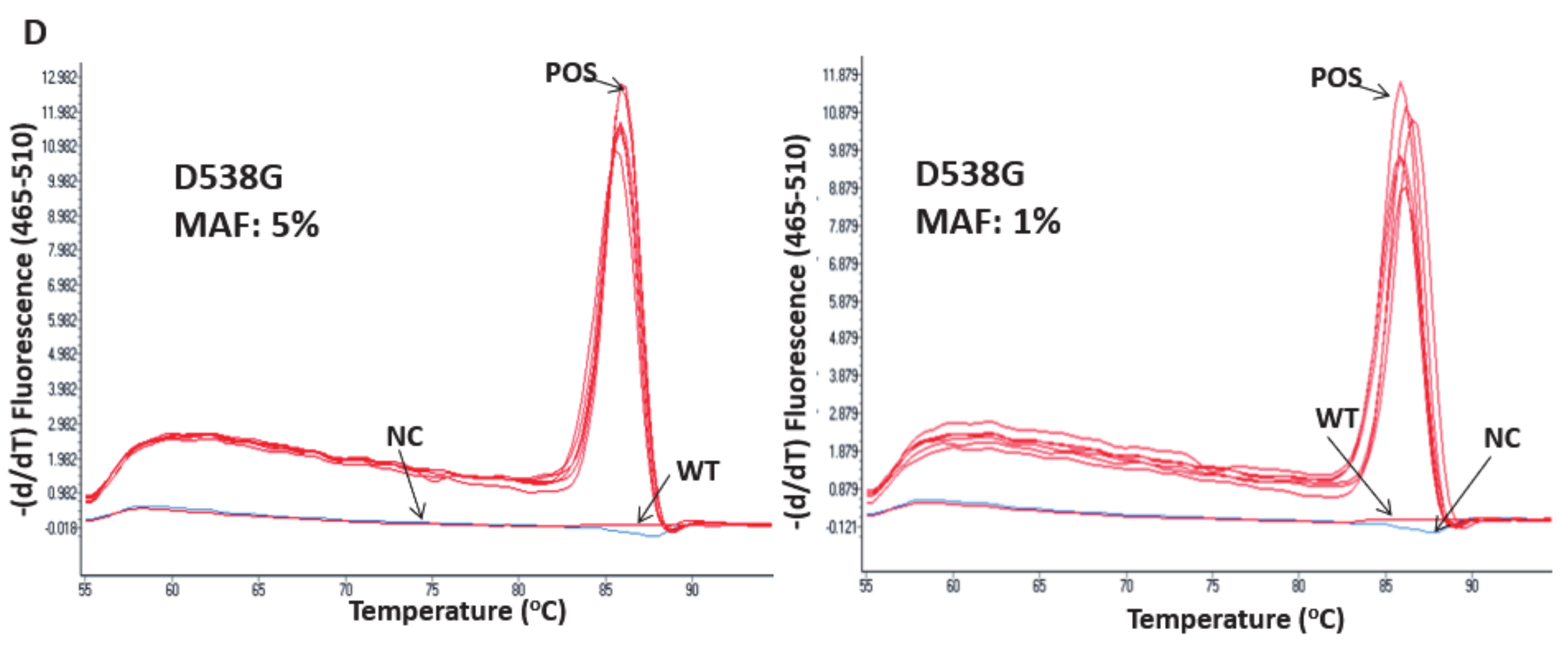 Cancers 13 00556 g002b Cancers 13 00556 g002b