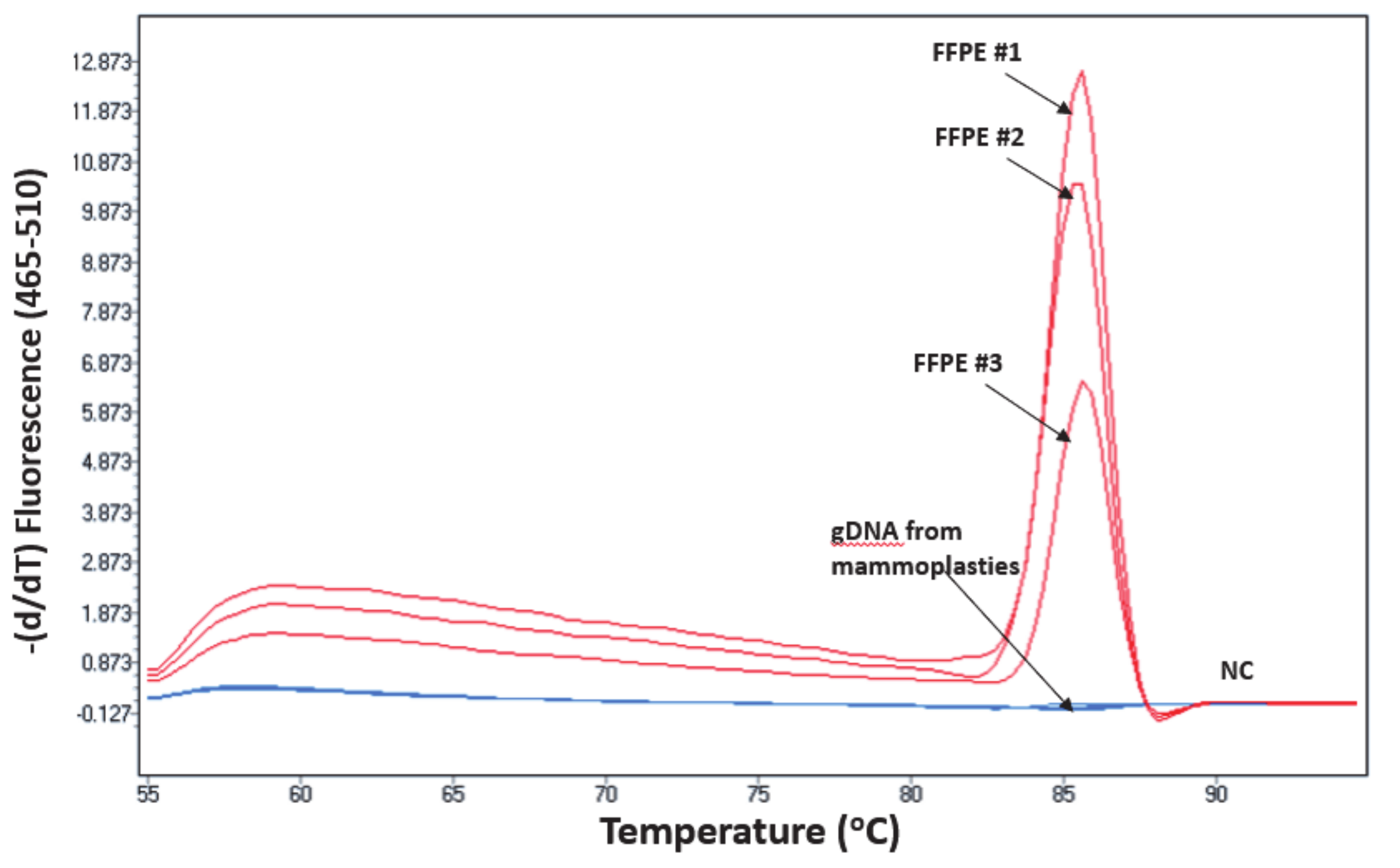 Cancers 13 00556 g006 Cancers 13 00556 g006