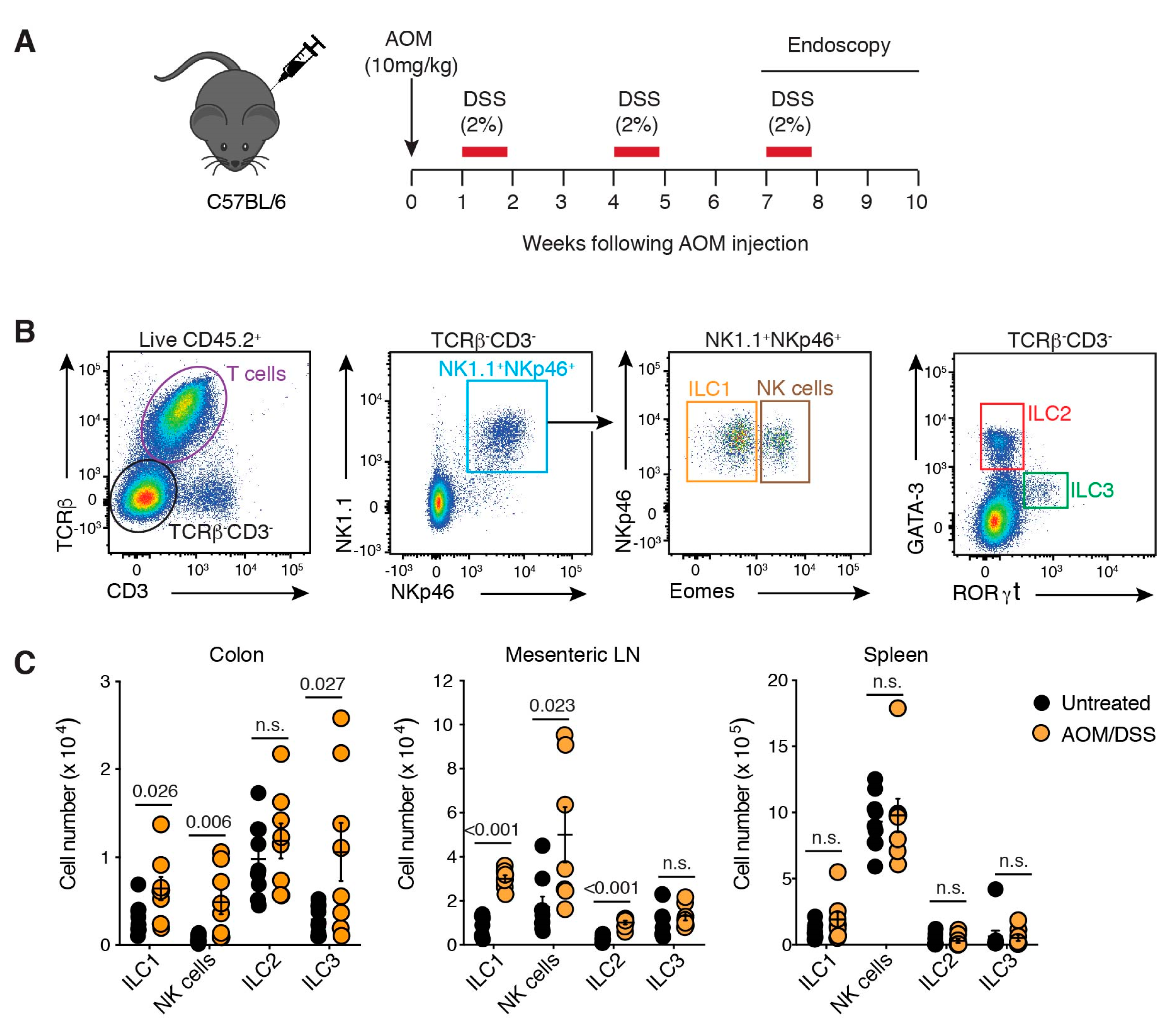 Cancers 13 00559 g001 Cancers 13 00559 g001
