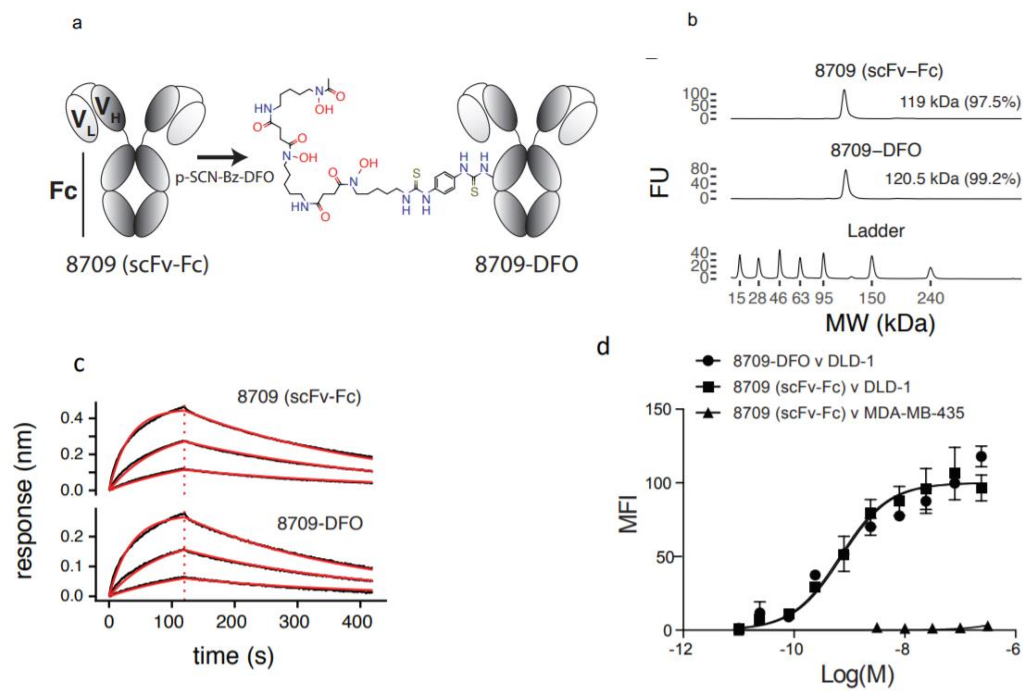 Cancers 13 00560 g001