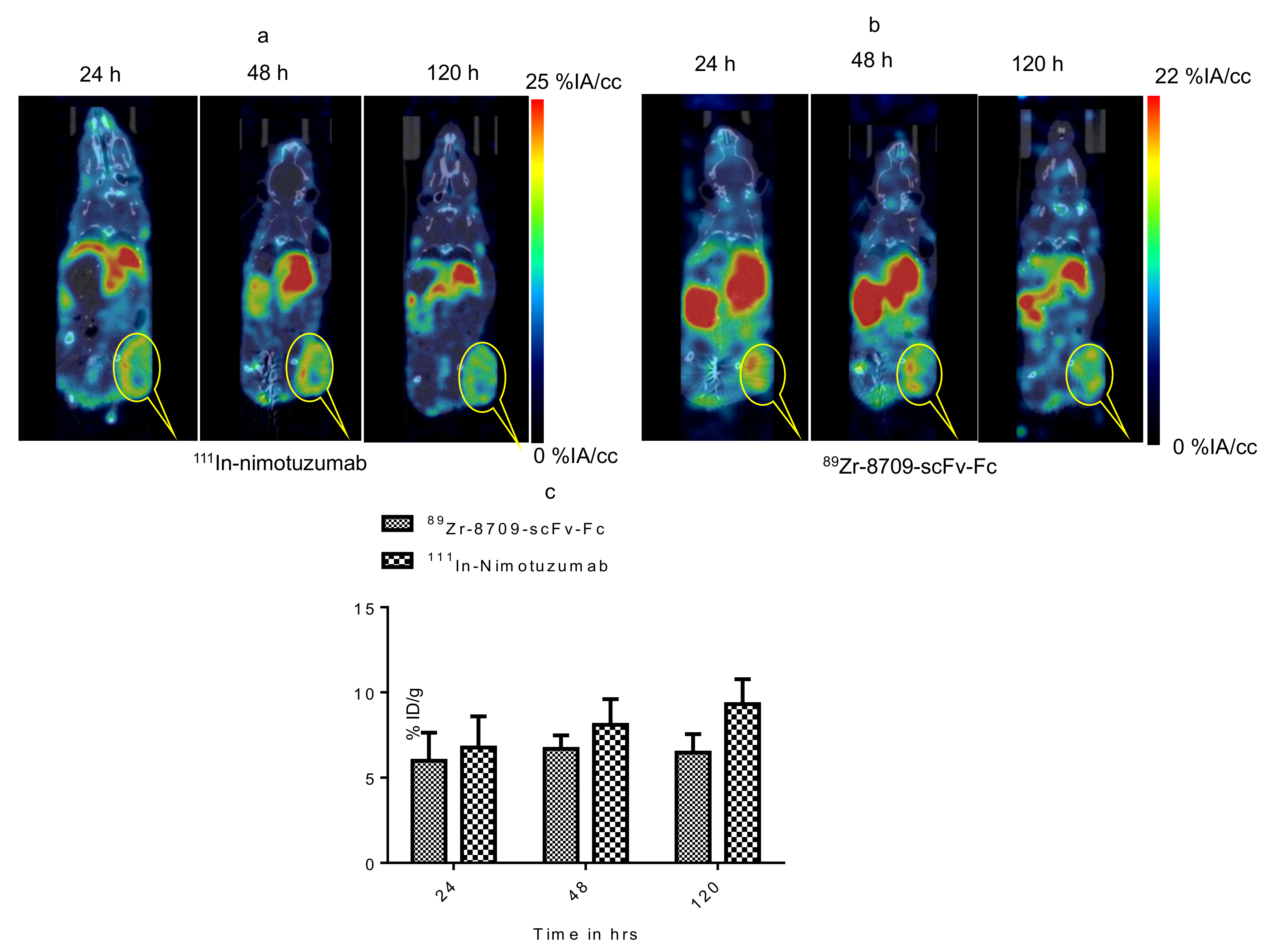 Cancers 13 00560 g006