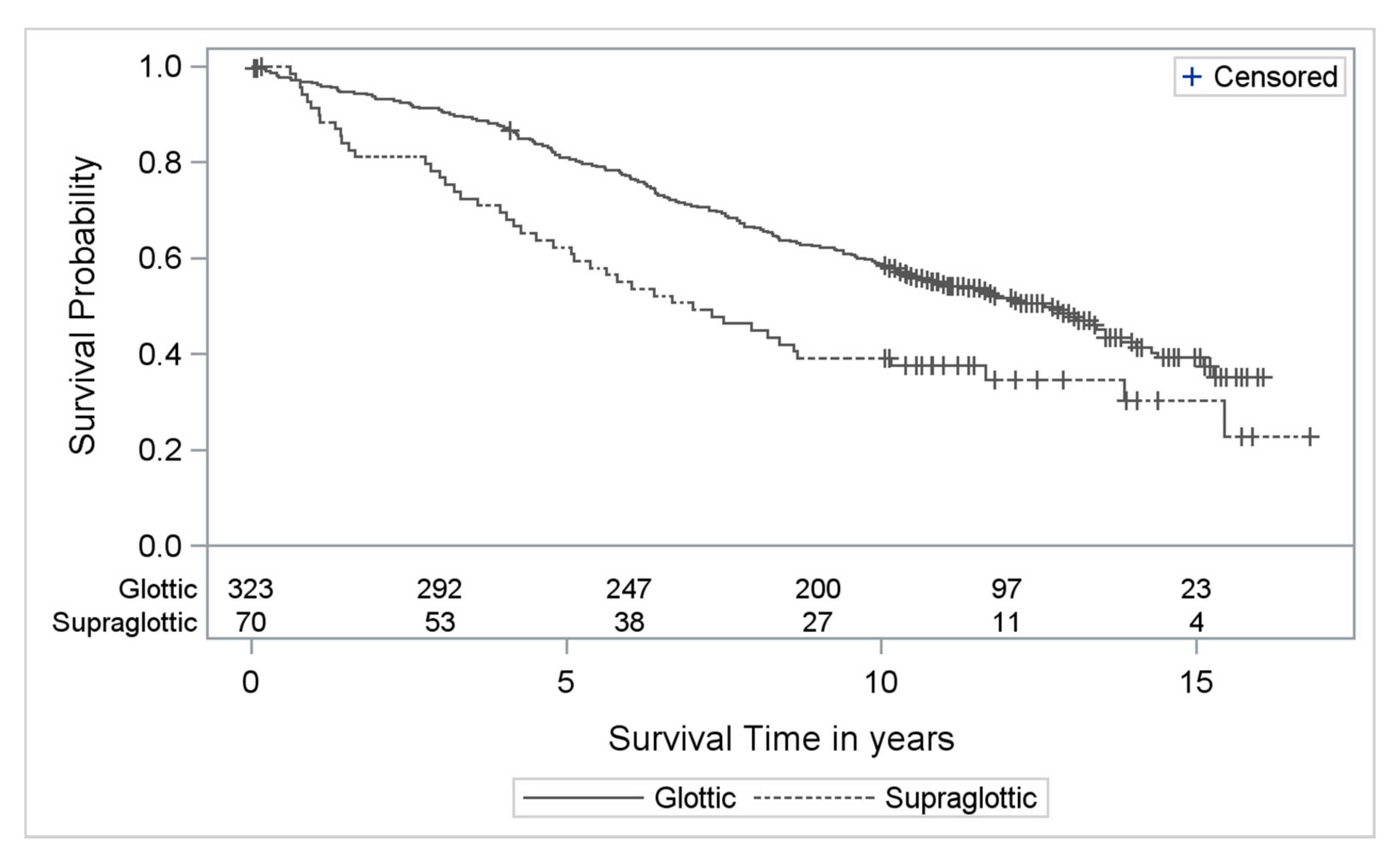 Cancers 13 00568 g001