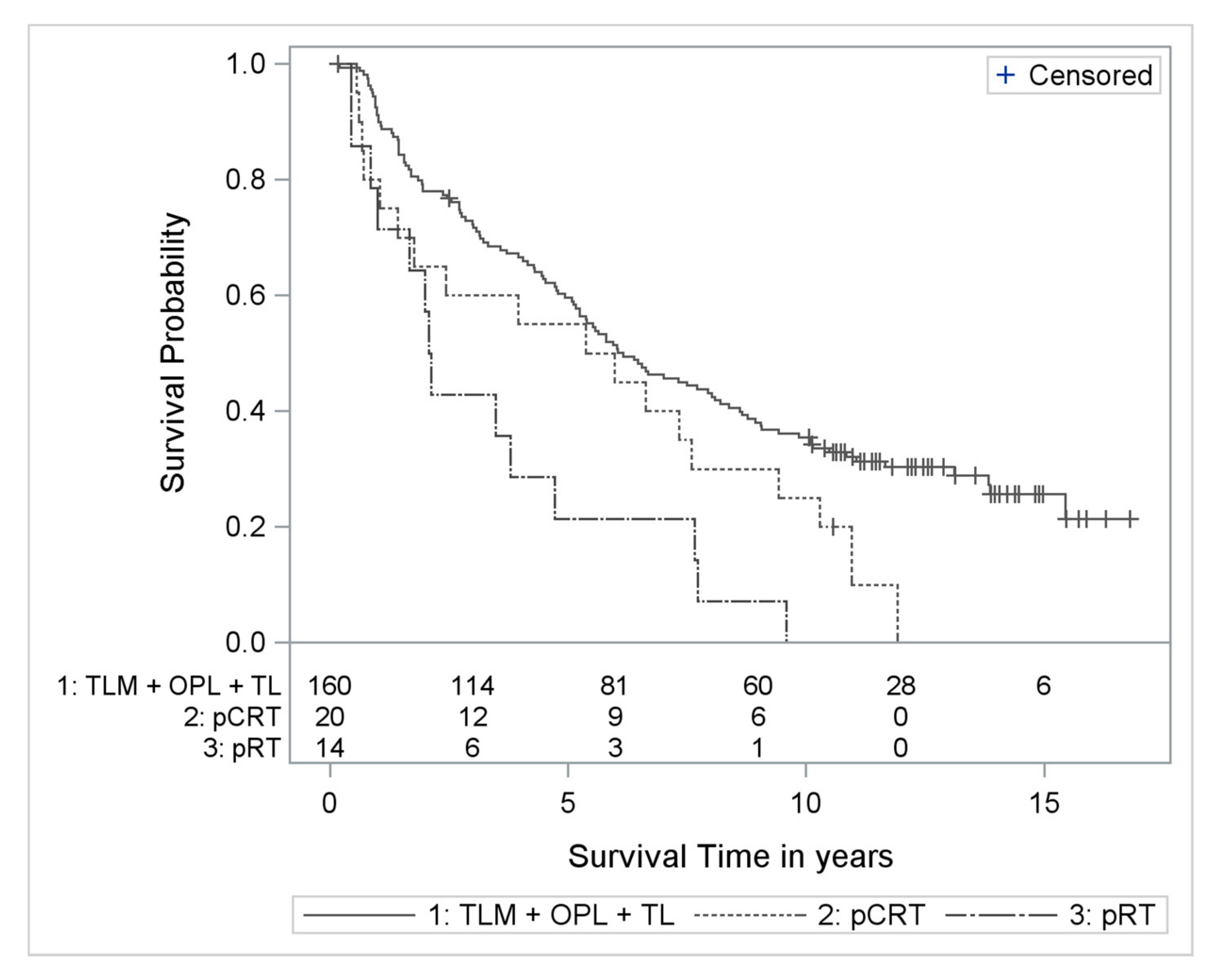 Cancers 13 00568 g002
