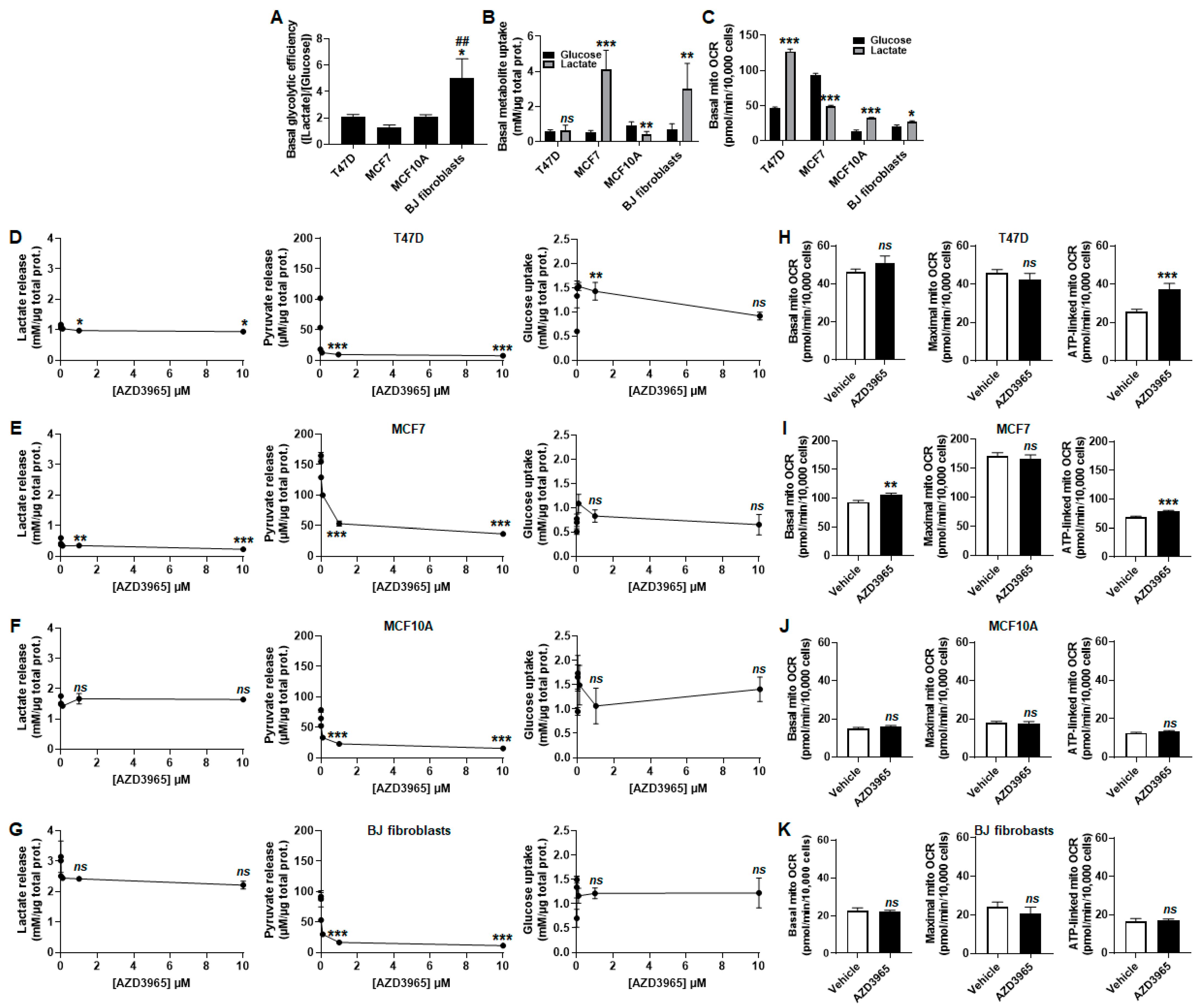 Cancers 13 00569 g004