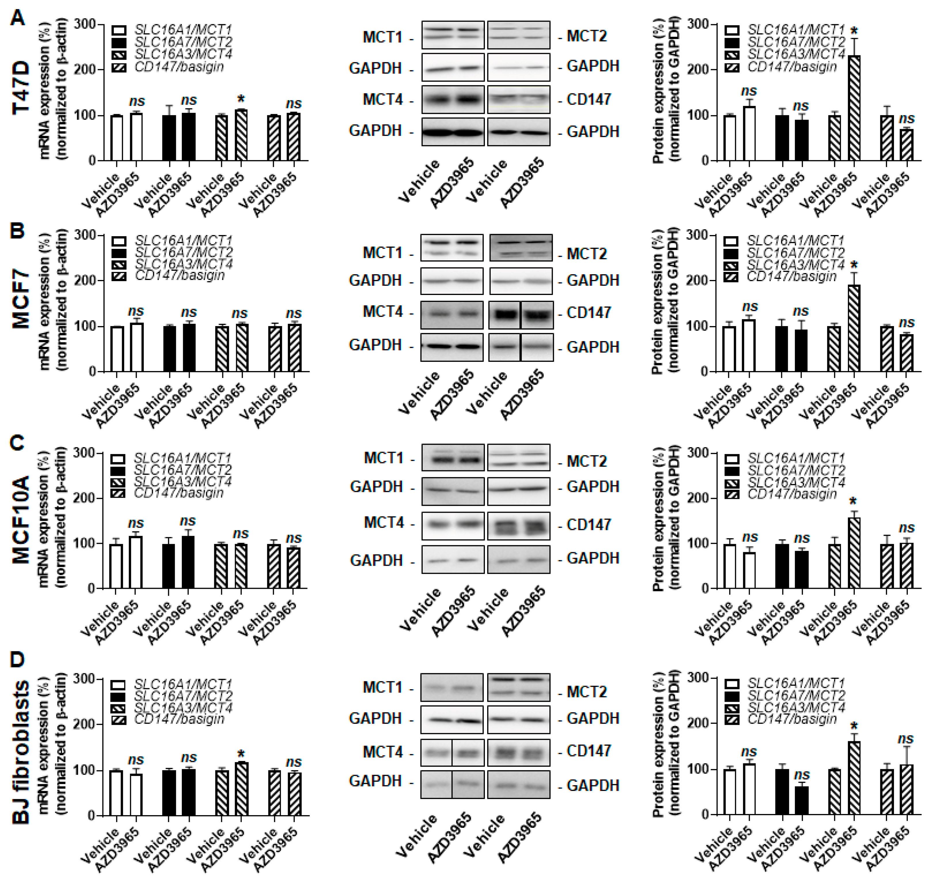 Cancers 13 00569 g005