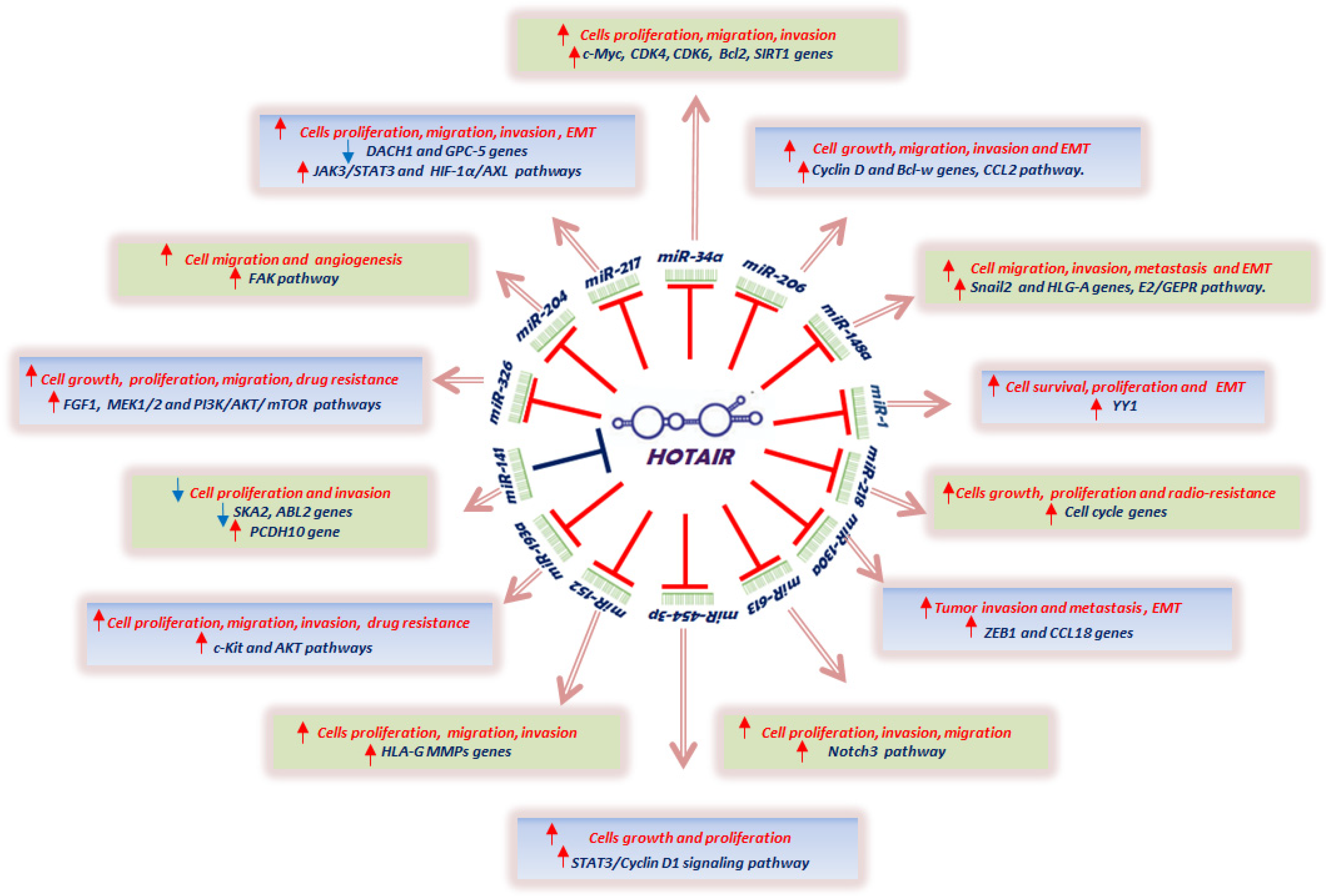 Cancers 13 00570 g001