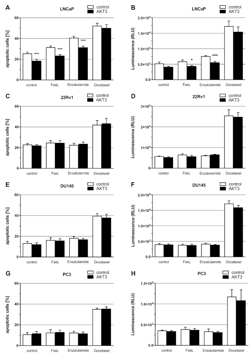 Cancers 13 00578 g005
