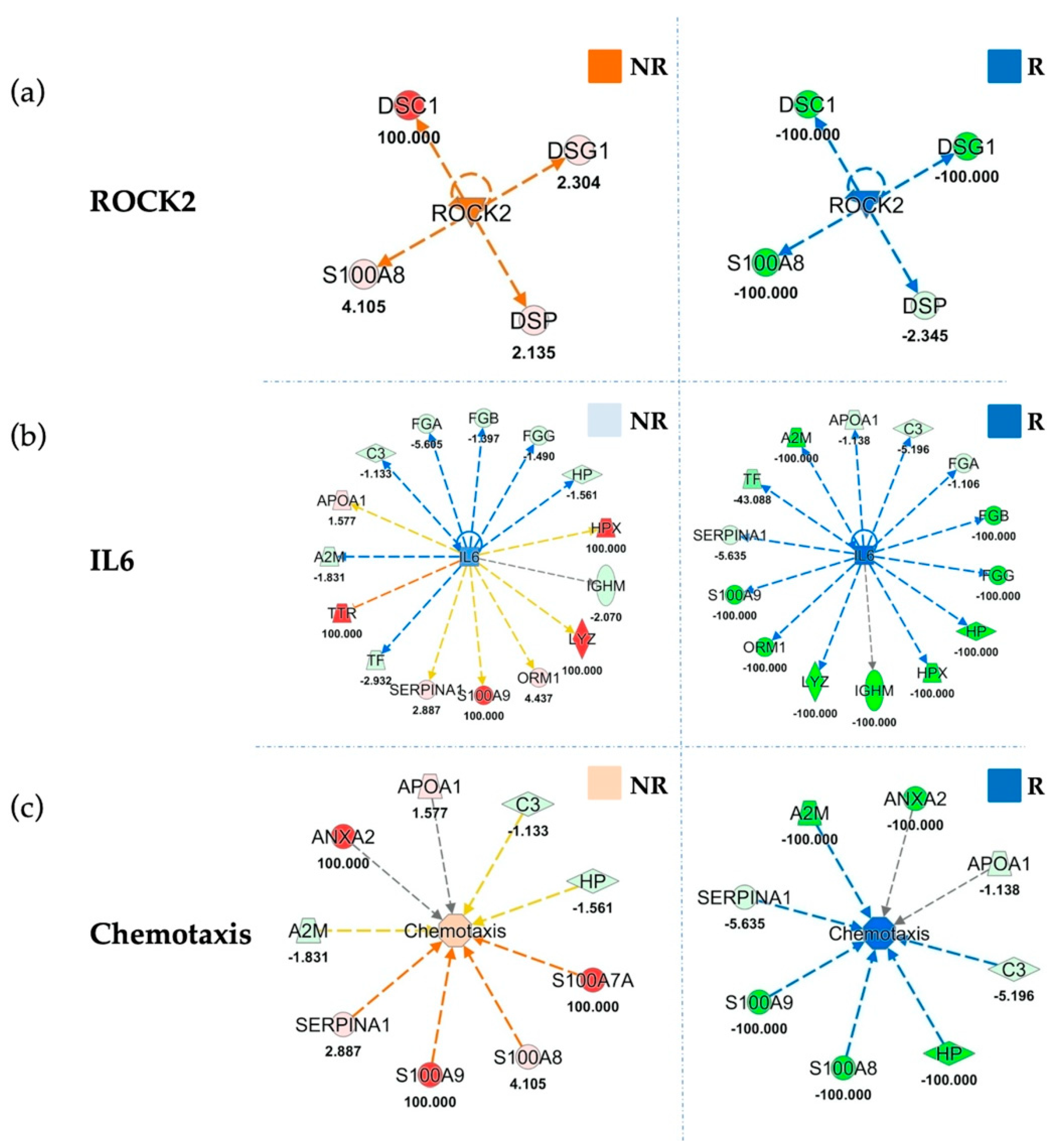 Cancers 13 00585 g005 Cancers 13 00585 g005