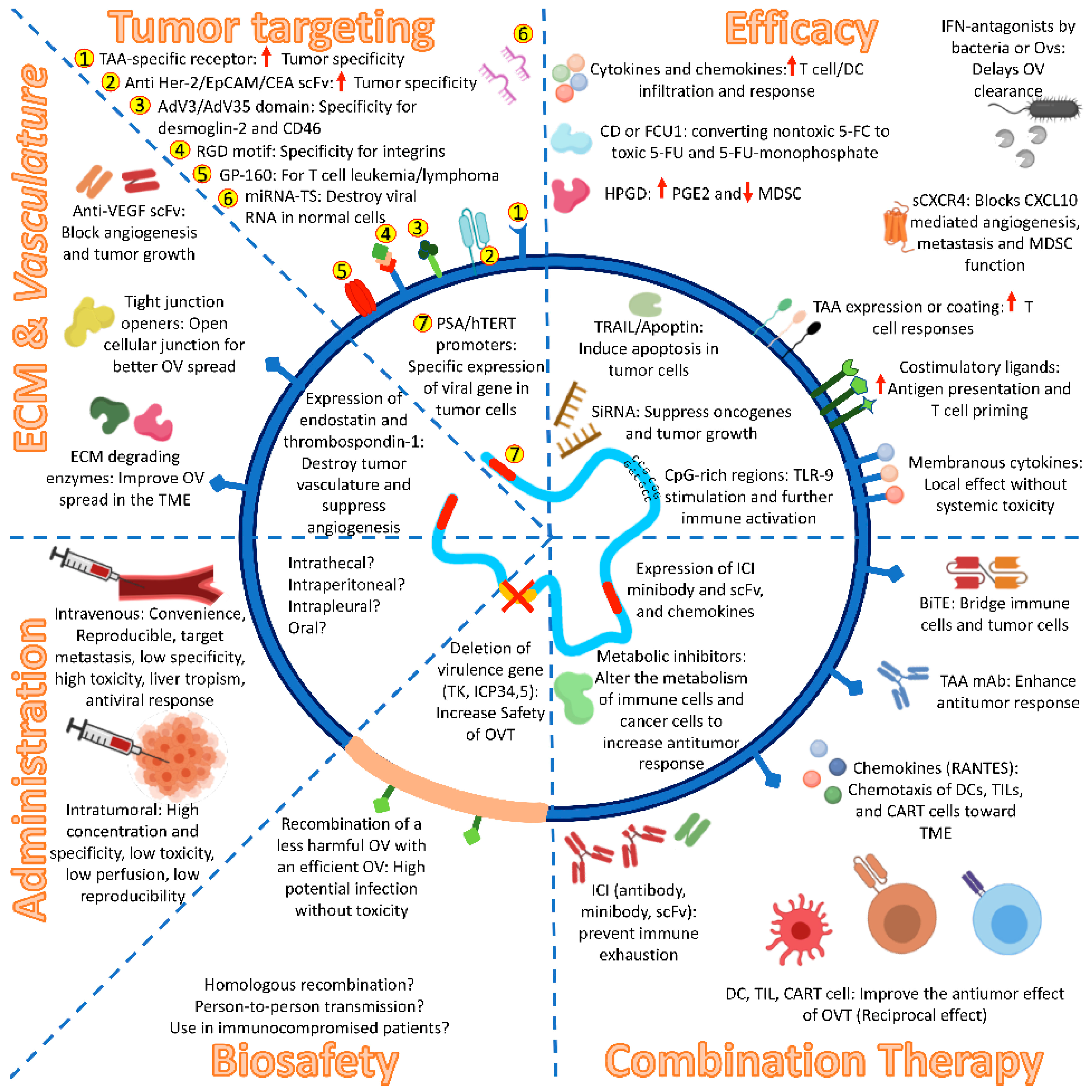 Cancers 13 00588 g001