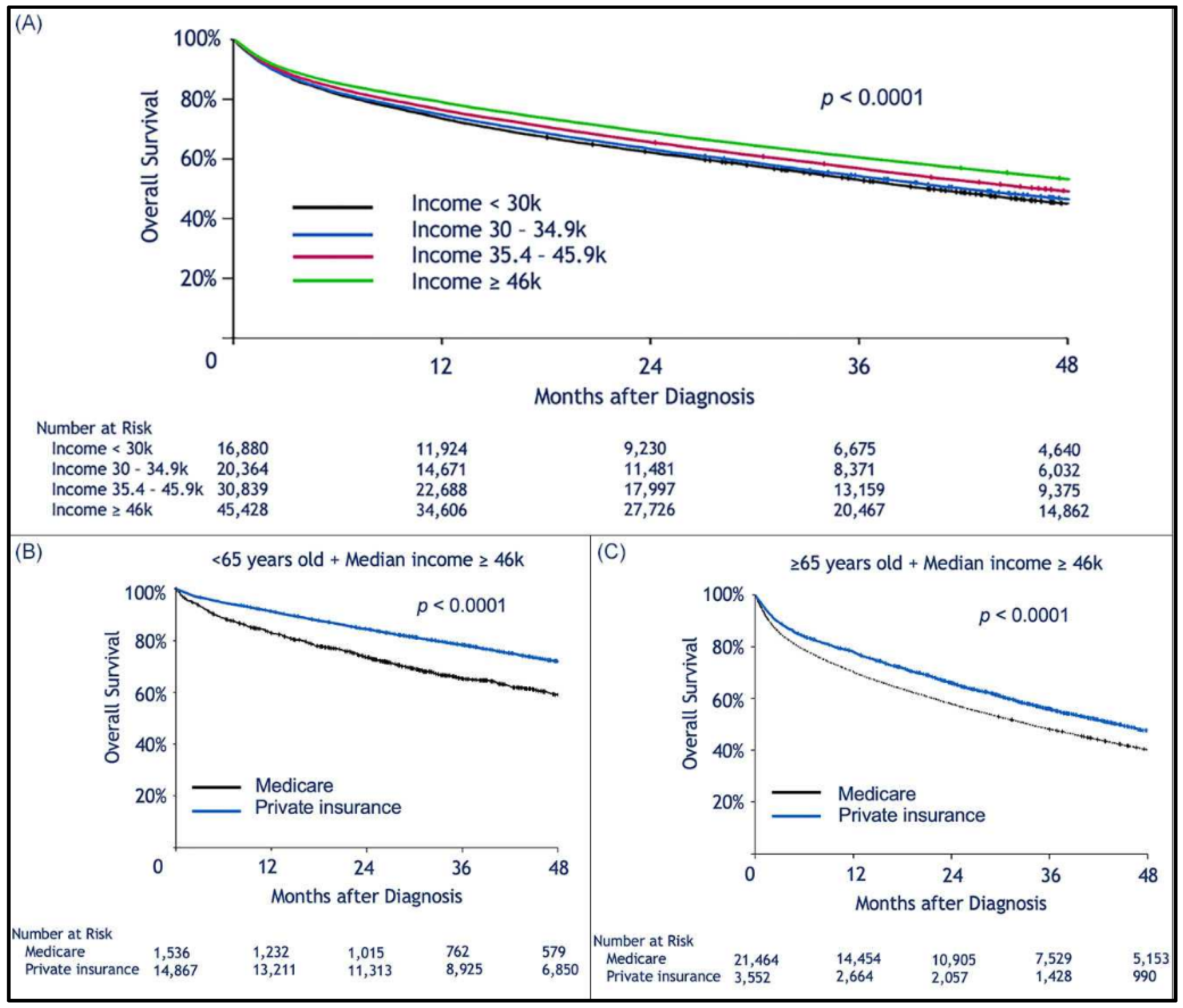 Cancers 13 00590 g003