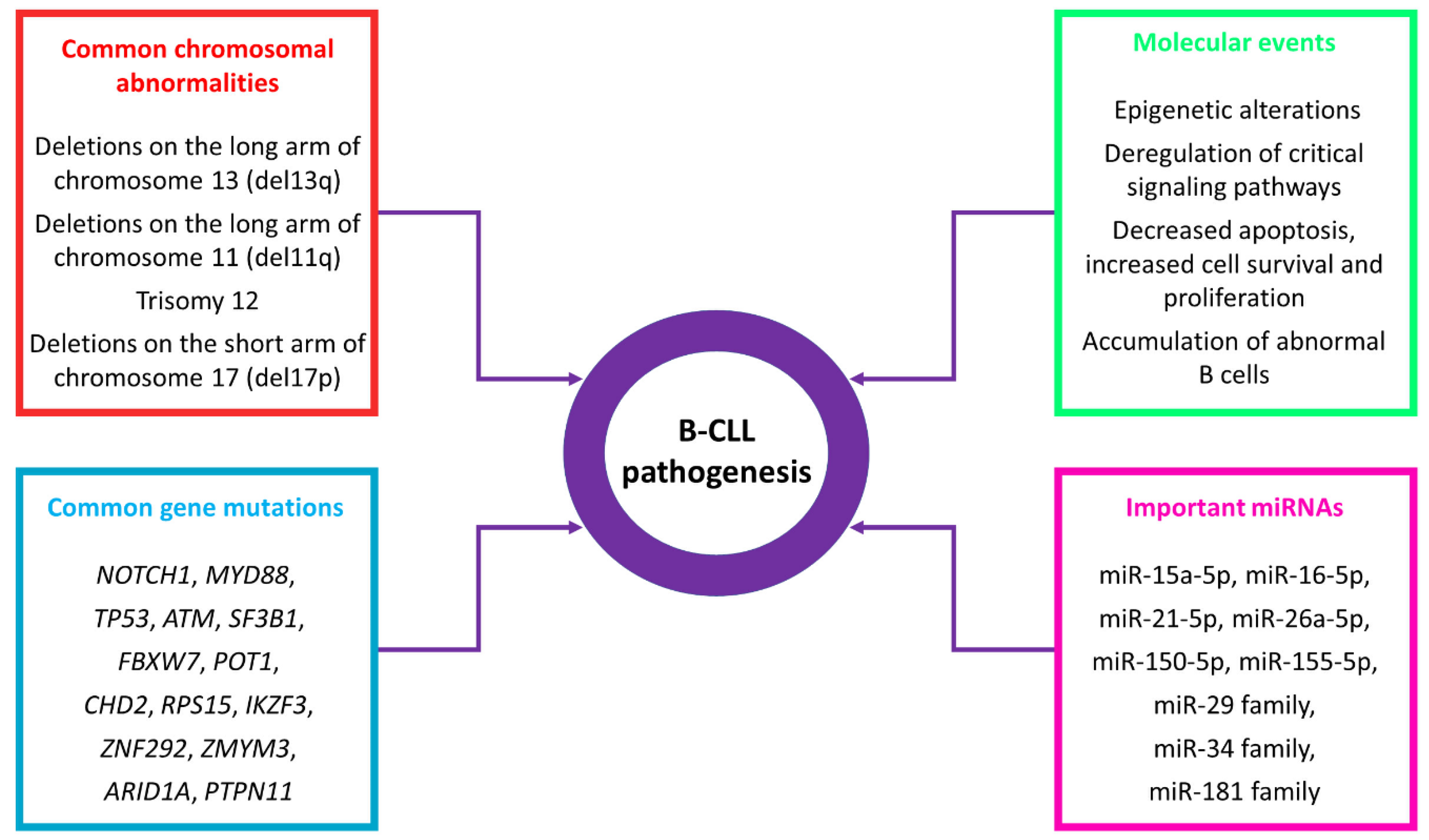 Cancers 13 00593 g001 Cancers 13 00593 g001