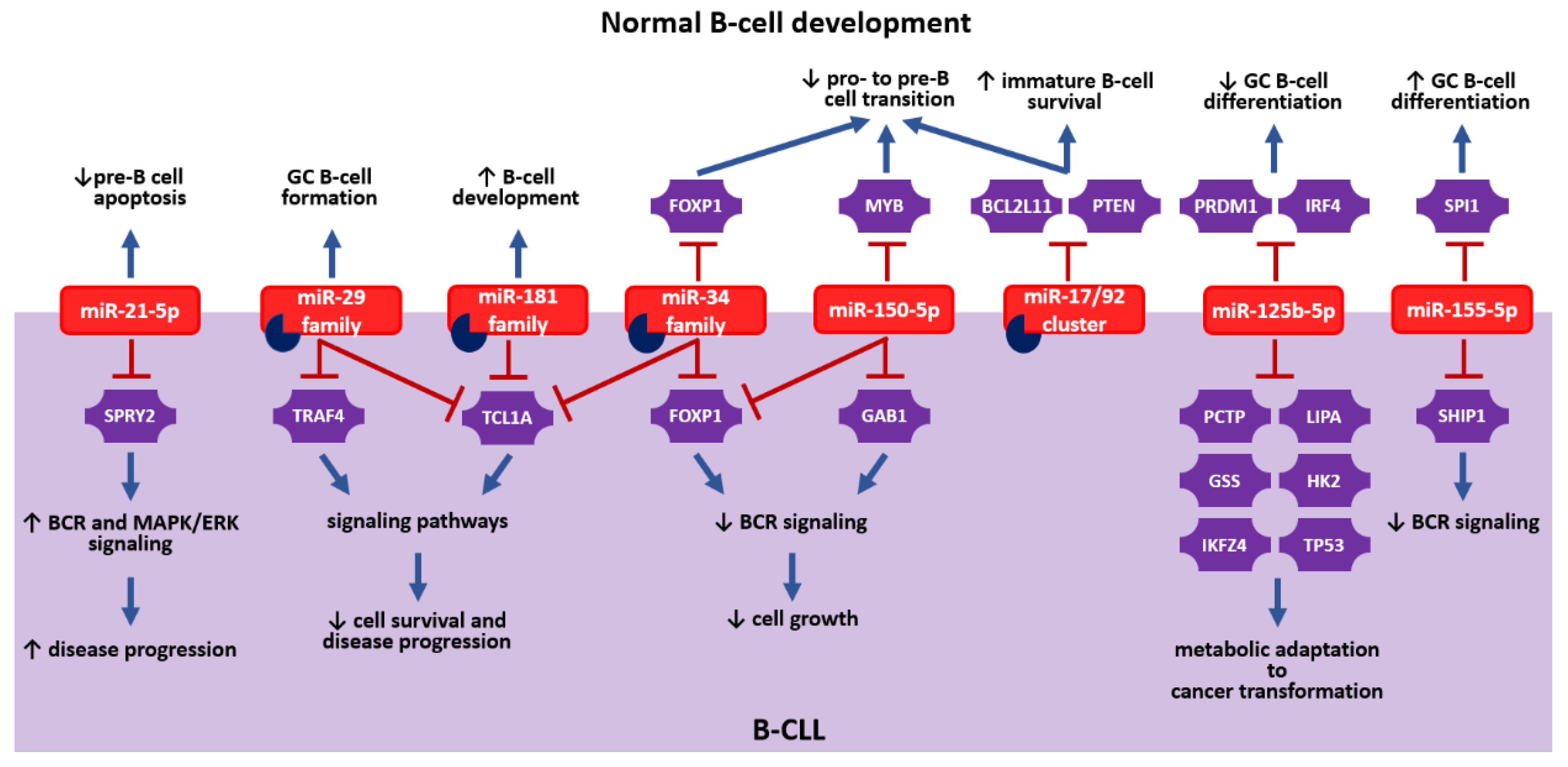 Cancers 13 00593 g003 Cancers 13 00593 g003