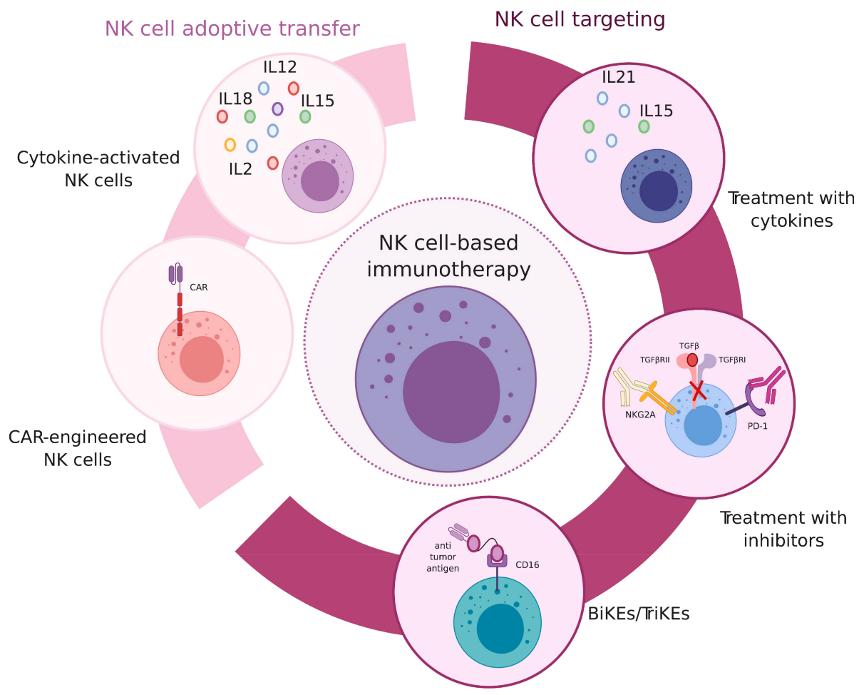 Cancers 13 00595 g002