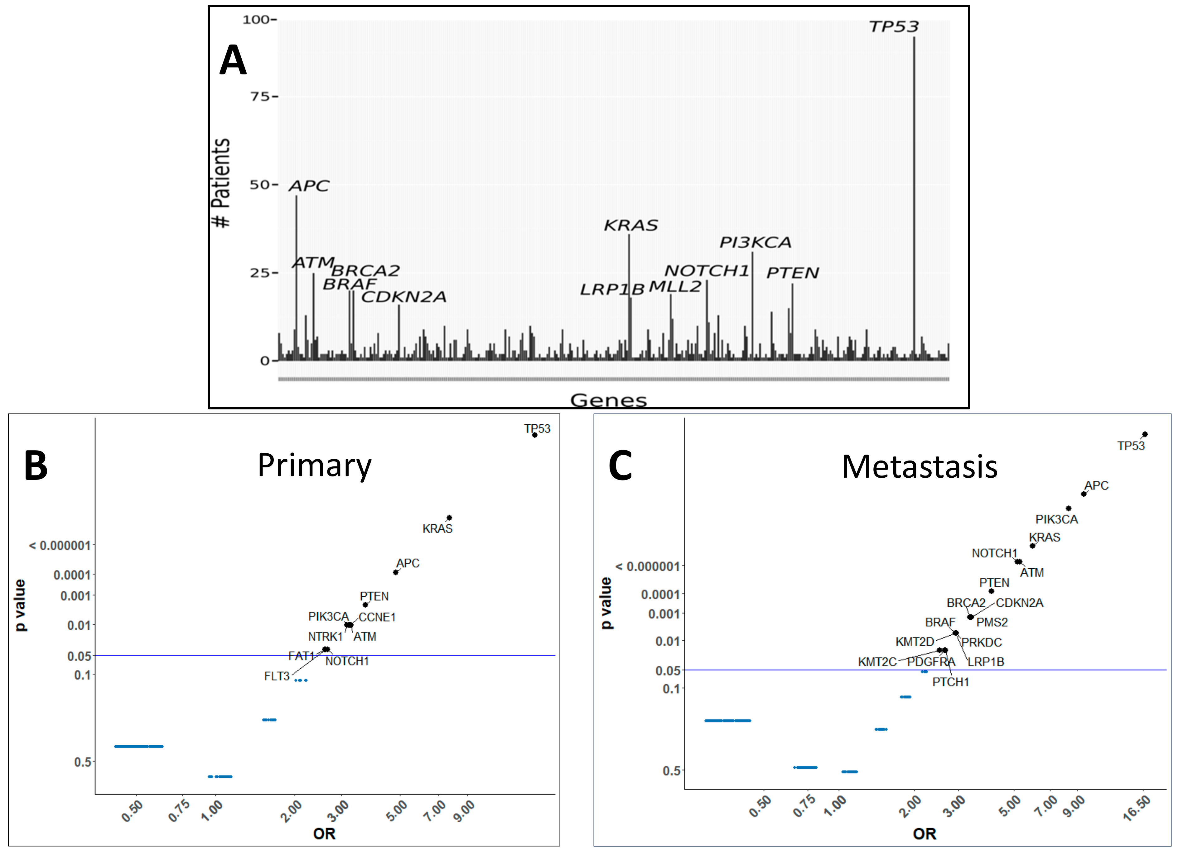 Cancers 13 00597 g001