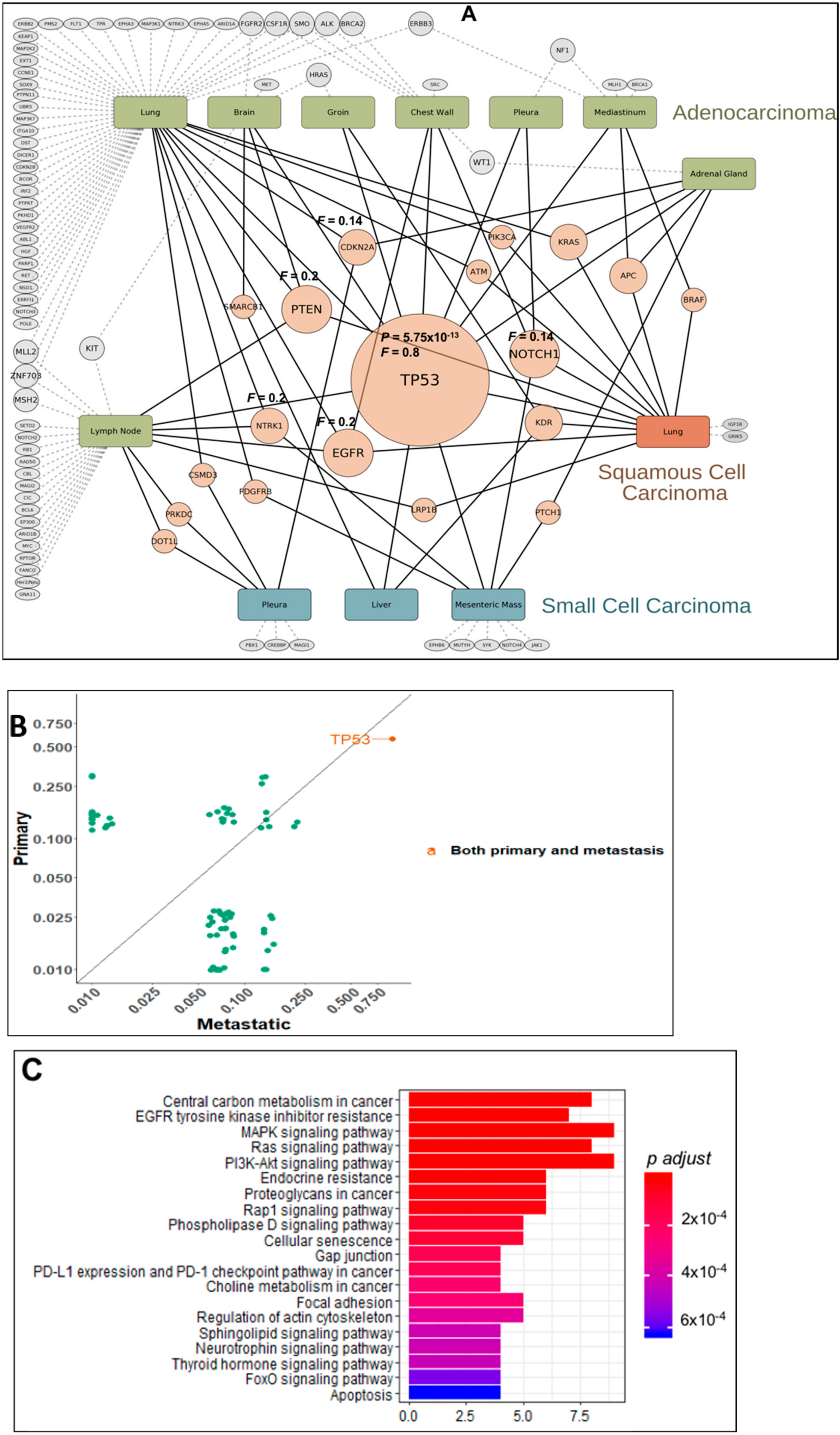 Cancers 13 00597 g003