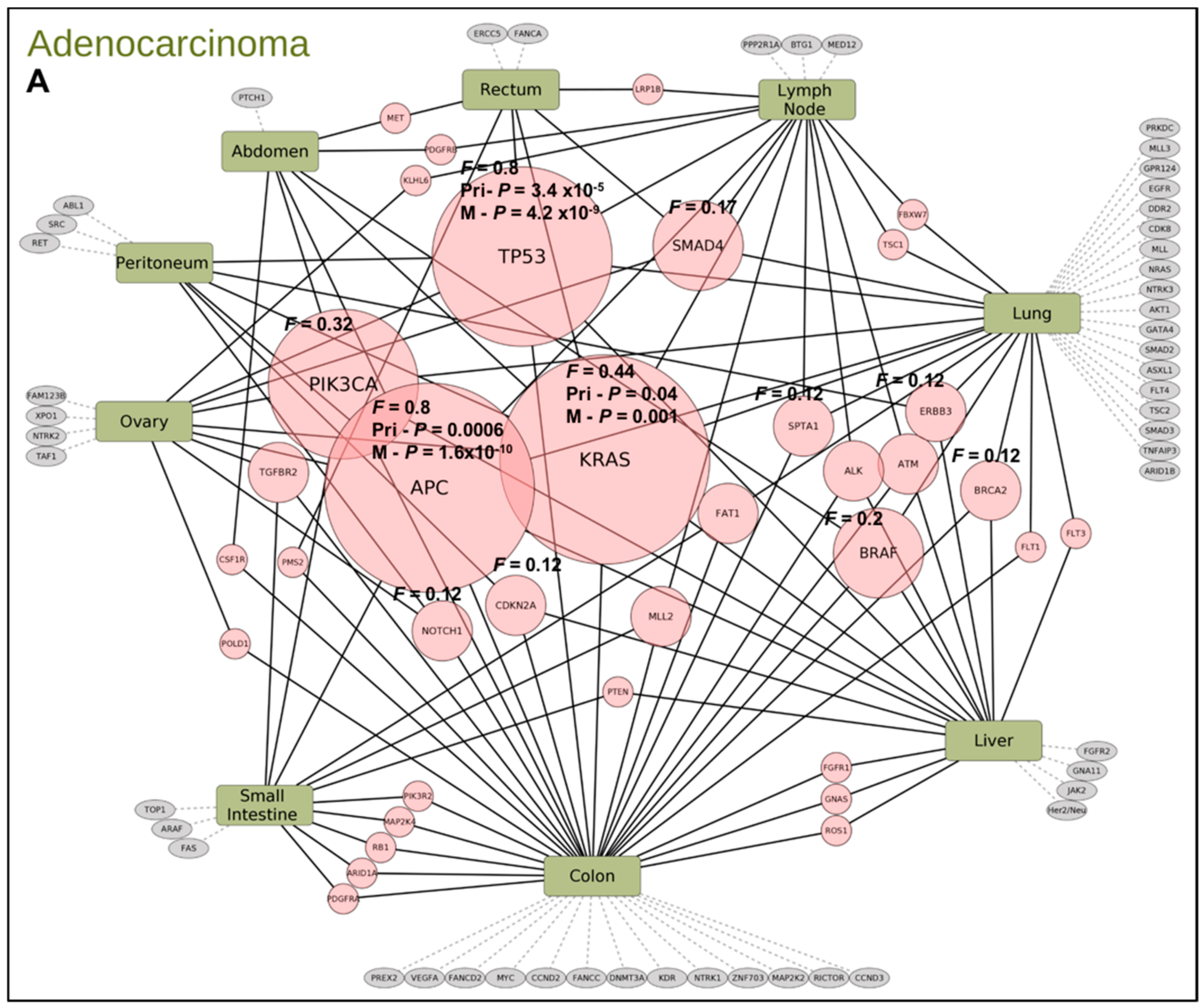 Cancers 13 00597 g004a