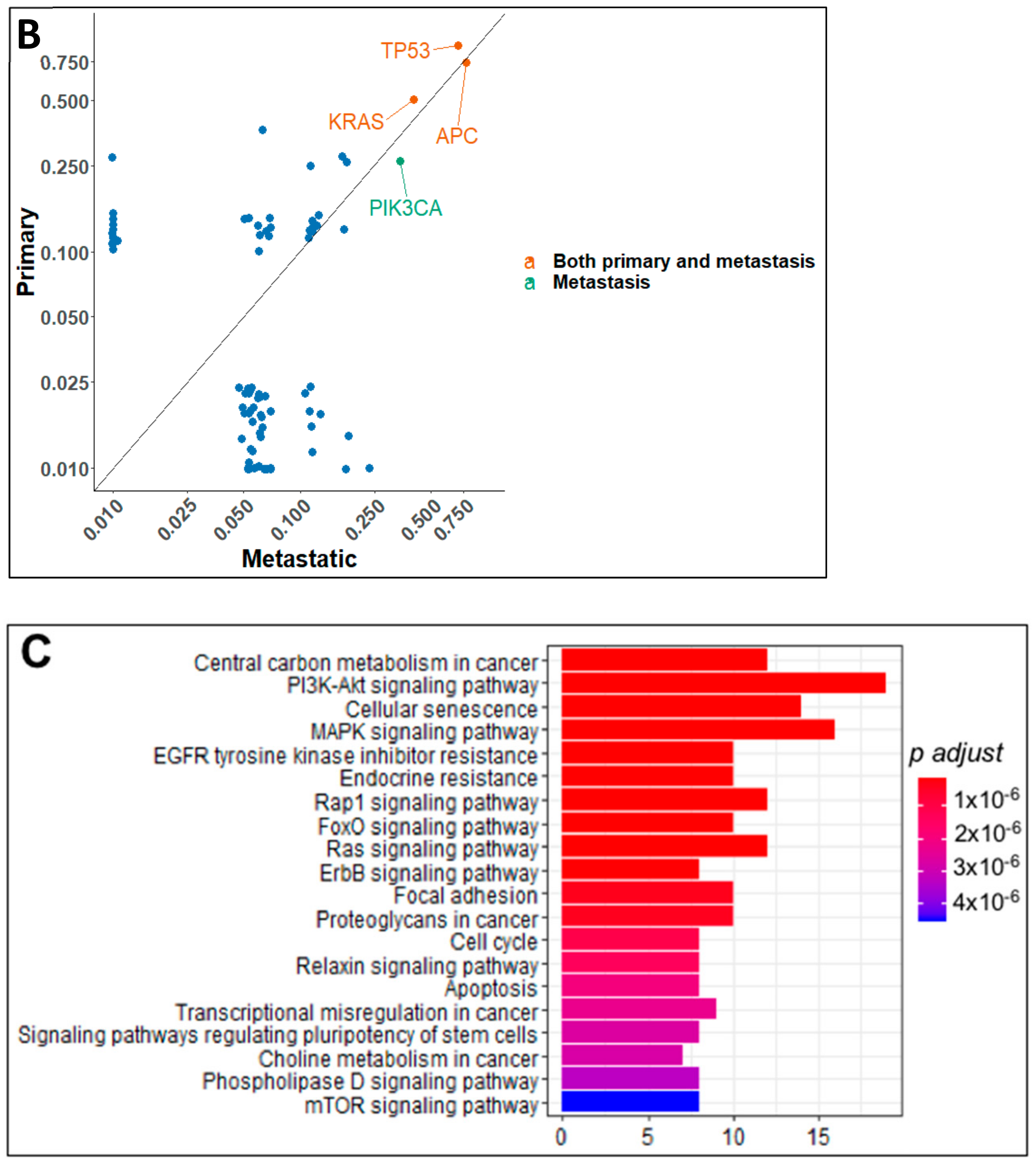Cancers 13 00597 g004b