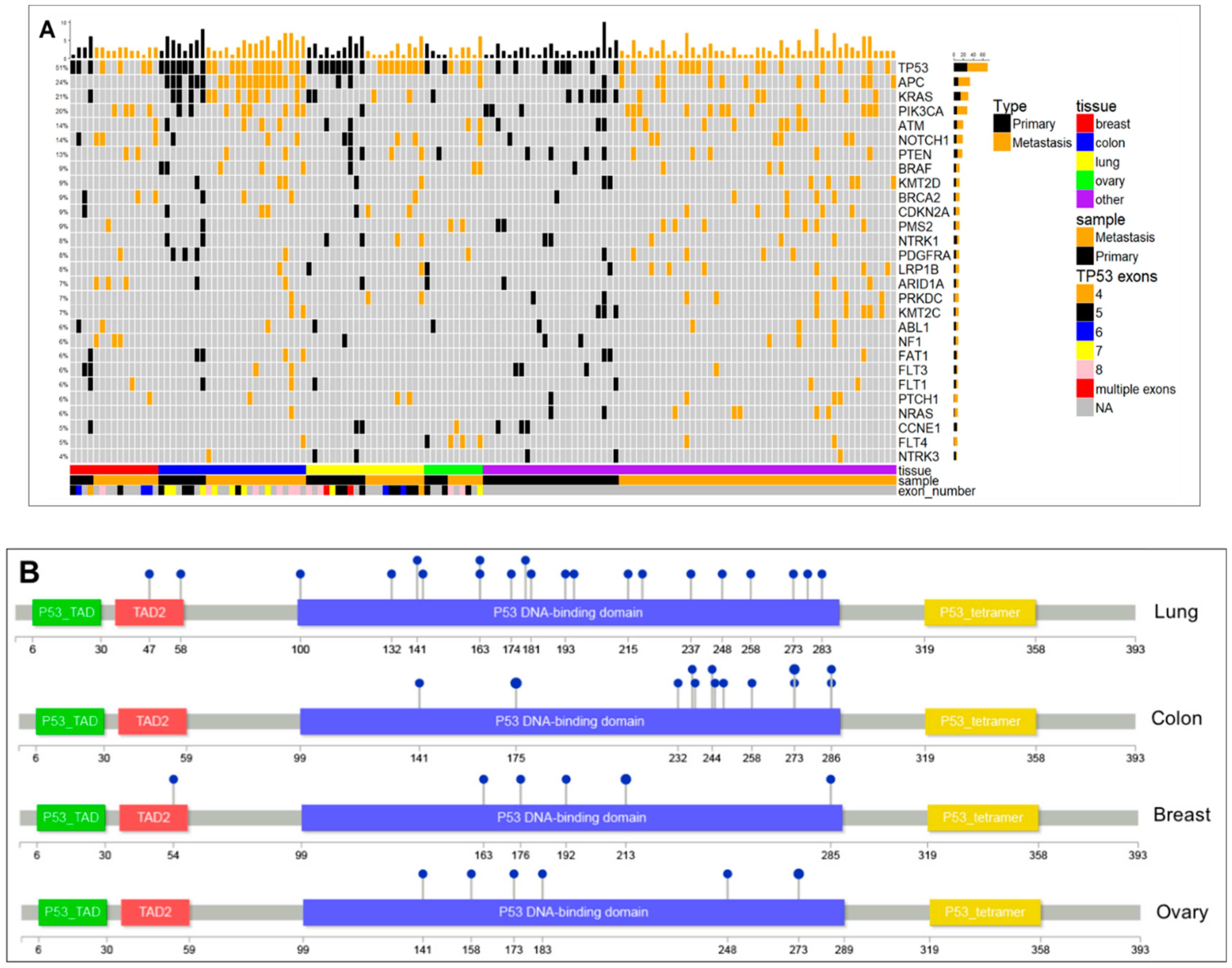 Cancers 13 00597 g005