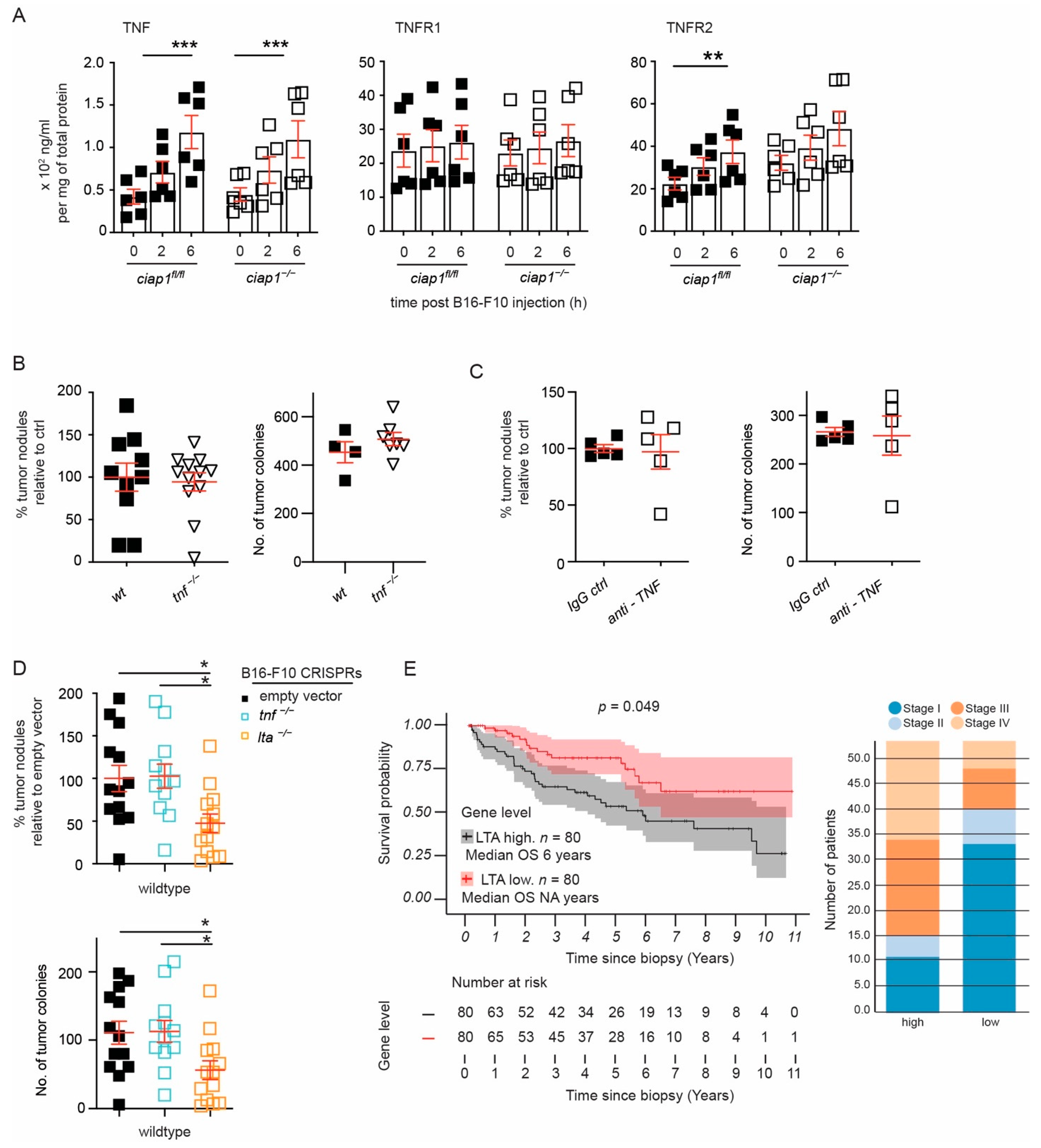 Cancers 13 00599 g006