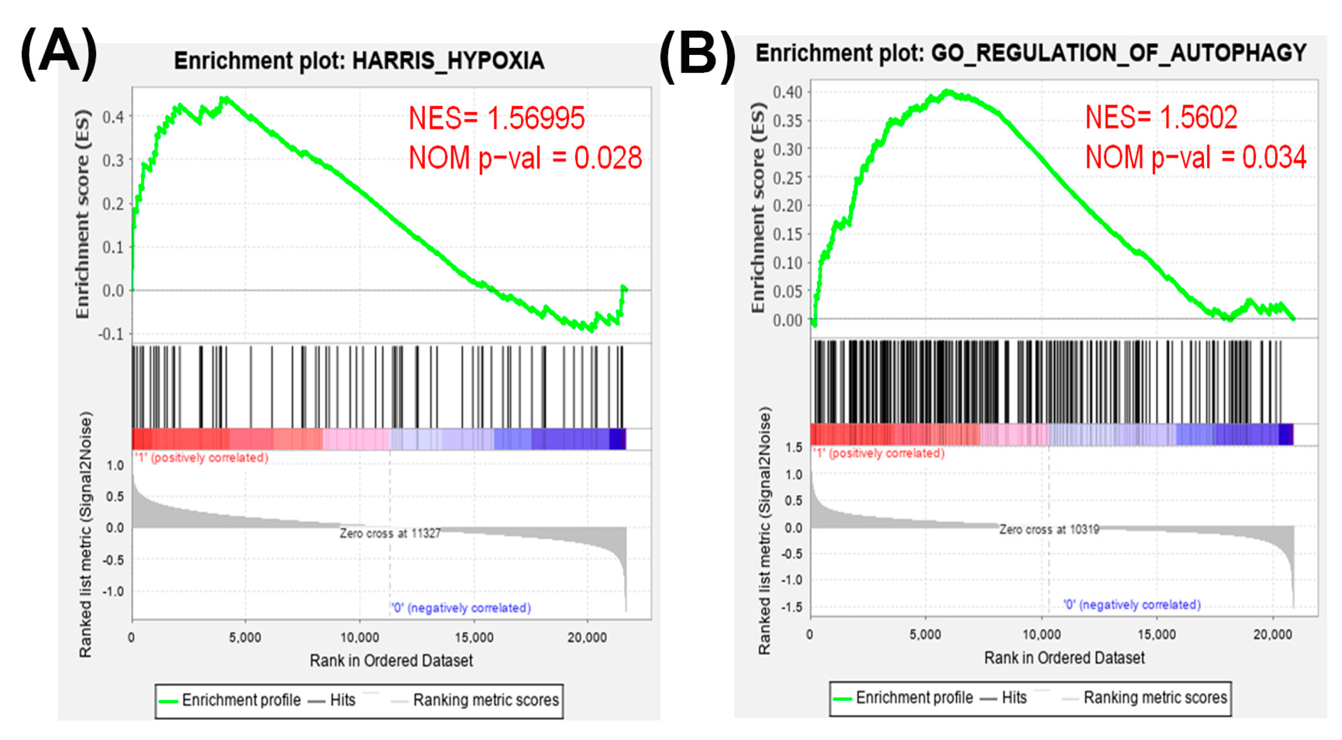 Cancers 13 00606 g001