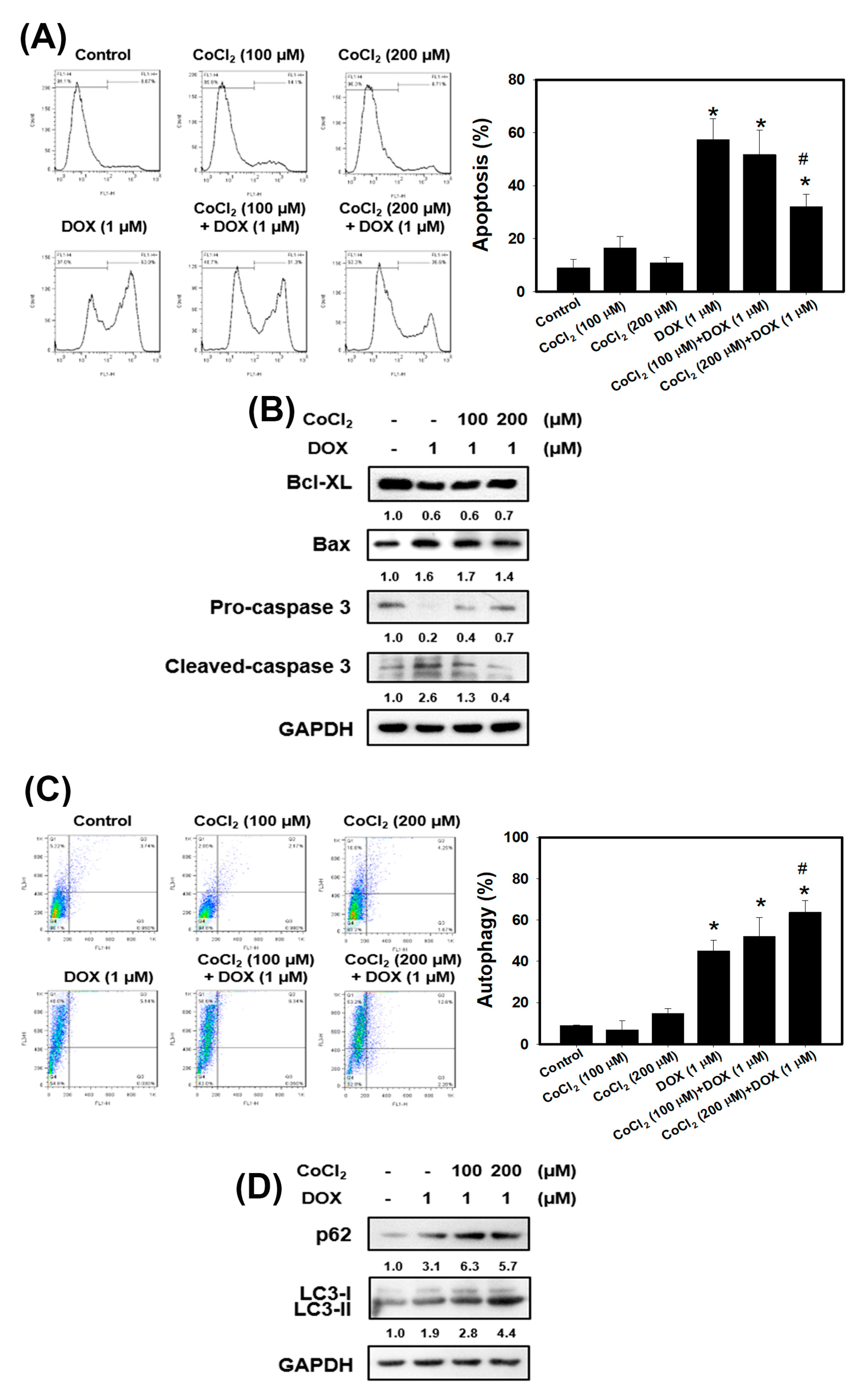 Cancers 13 00606 g003