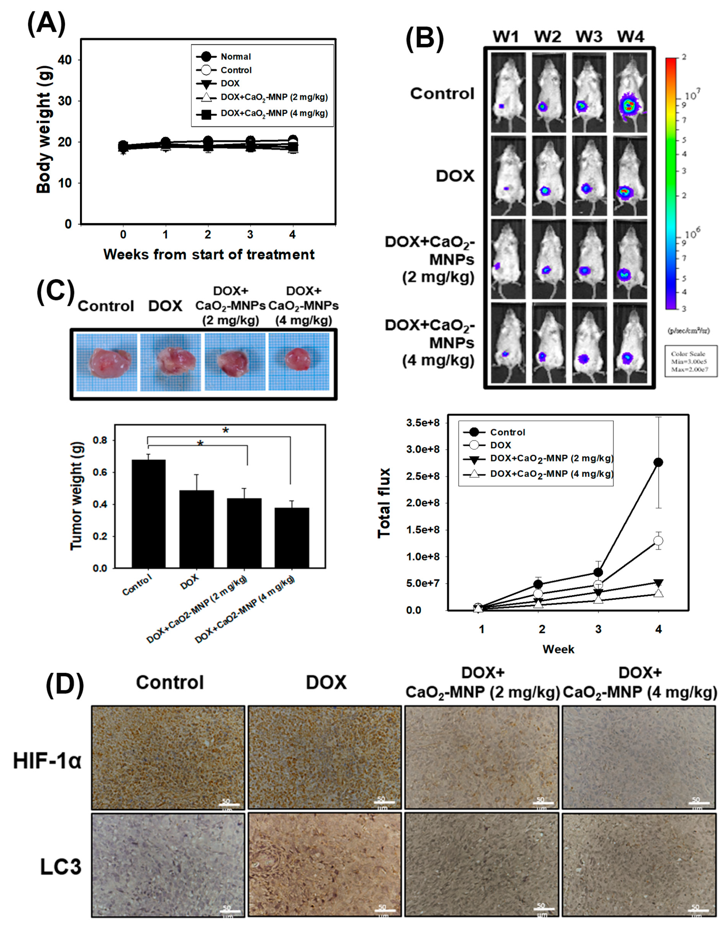 Cancers 13 00606 g006