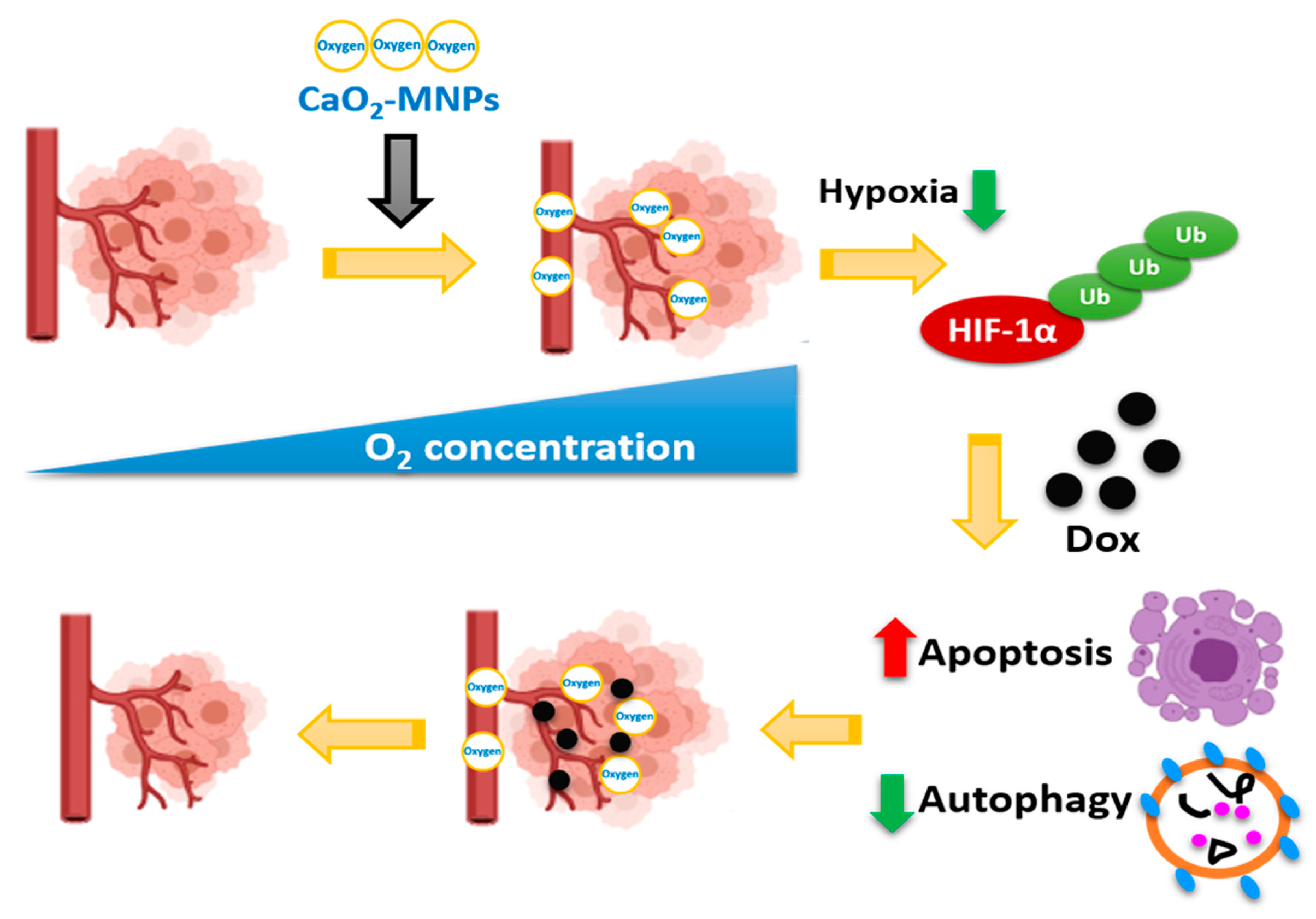 Cancers 13 00606 g007