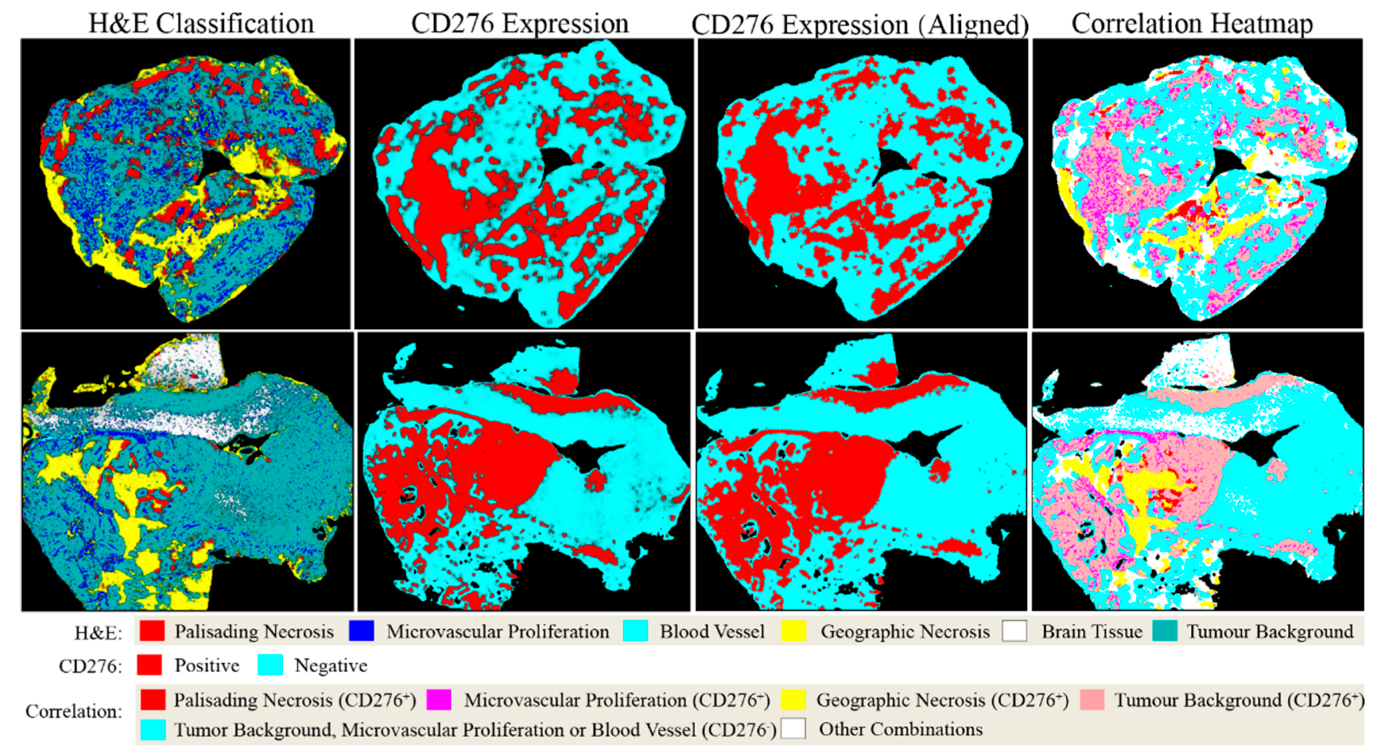 Cancers 13 00617 g003