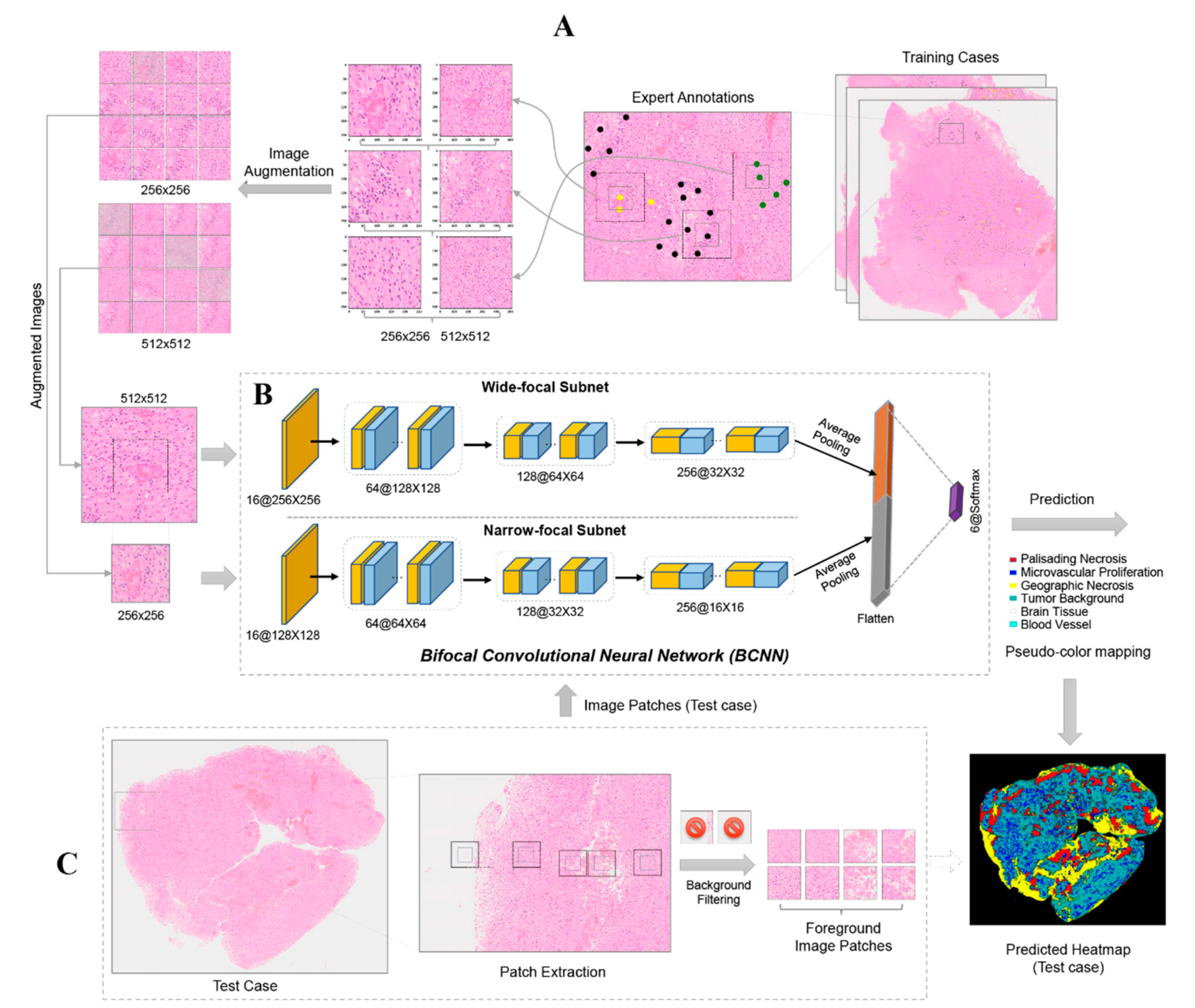 Cancers 13 00617 g006