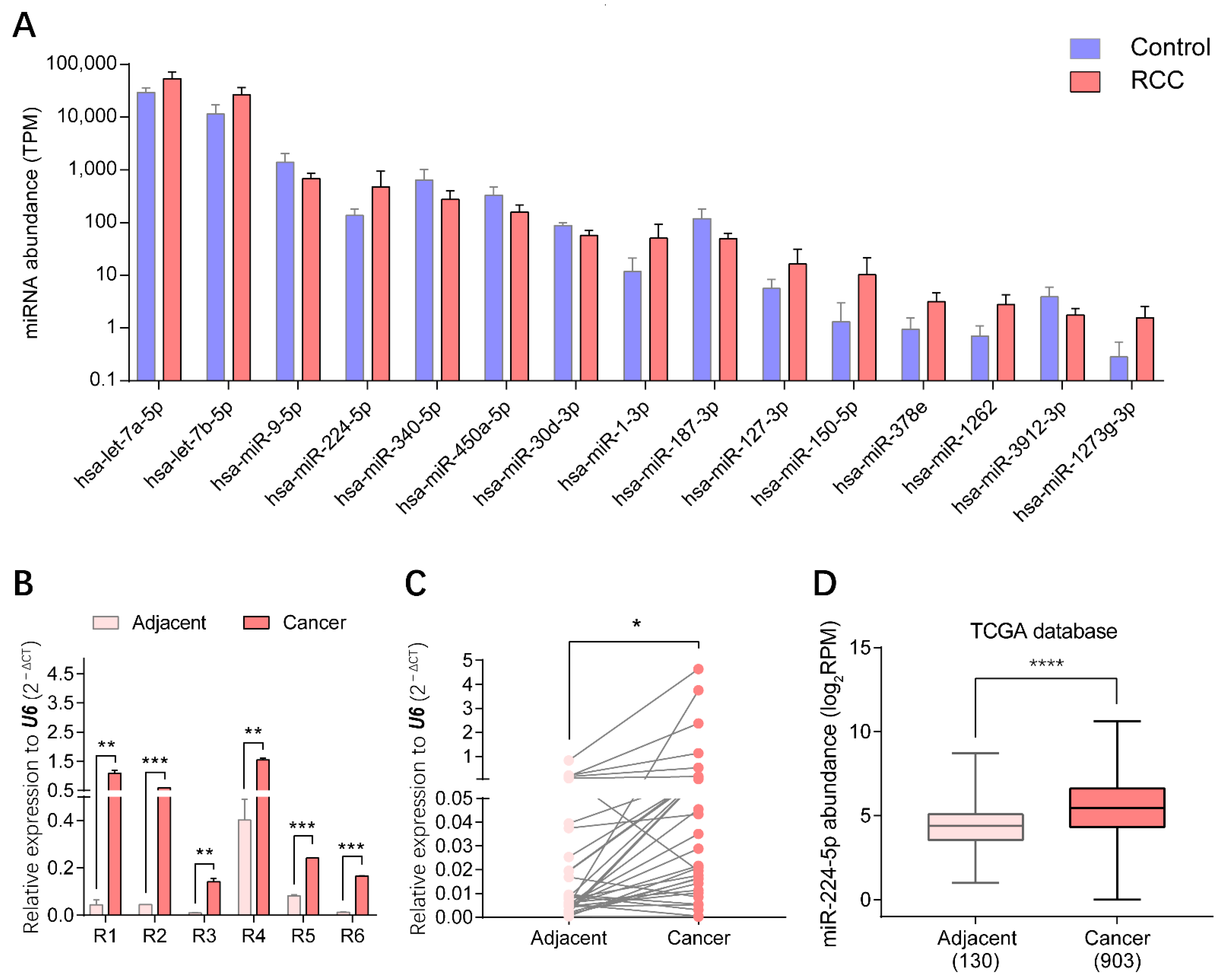 Cancers 13 00618 g003