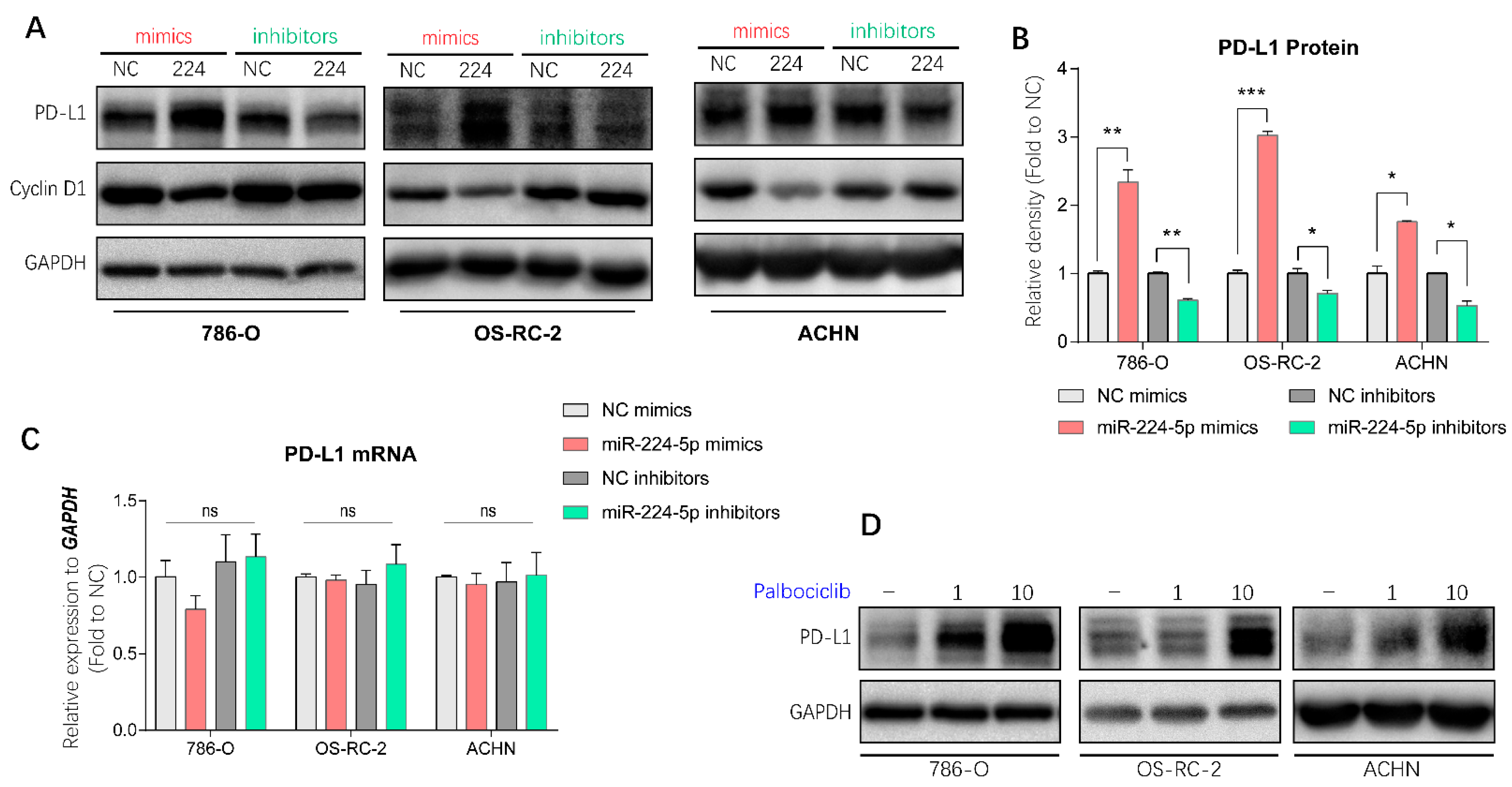 Cancers 13 00618 g006