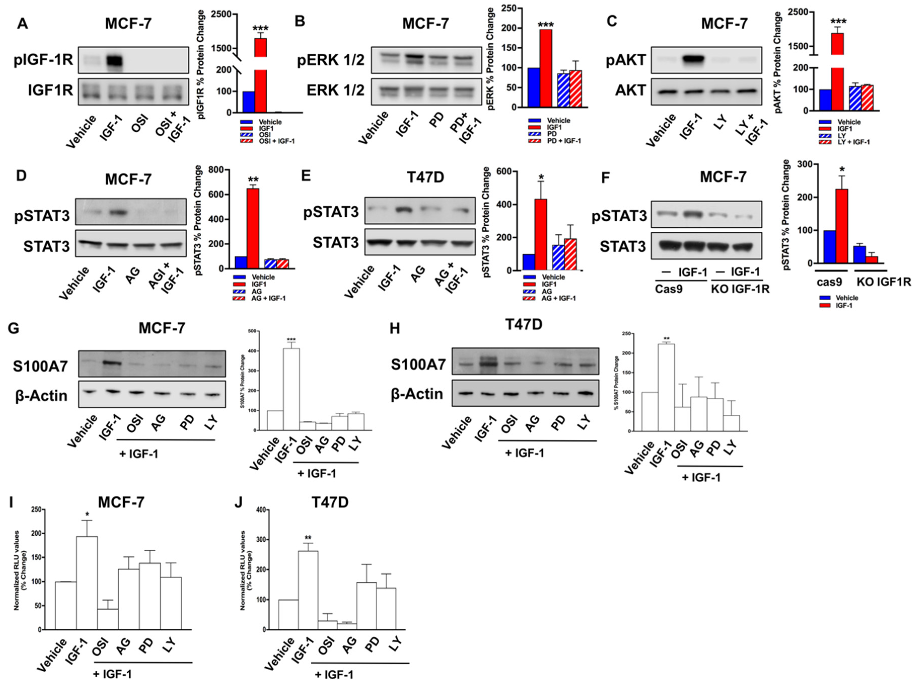 Cancers 13 00621 g004