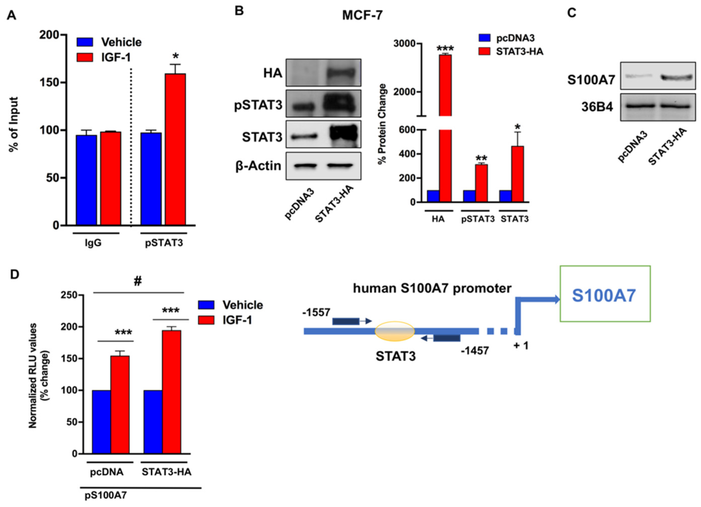 Cancers 13 00621 g005