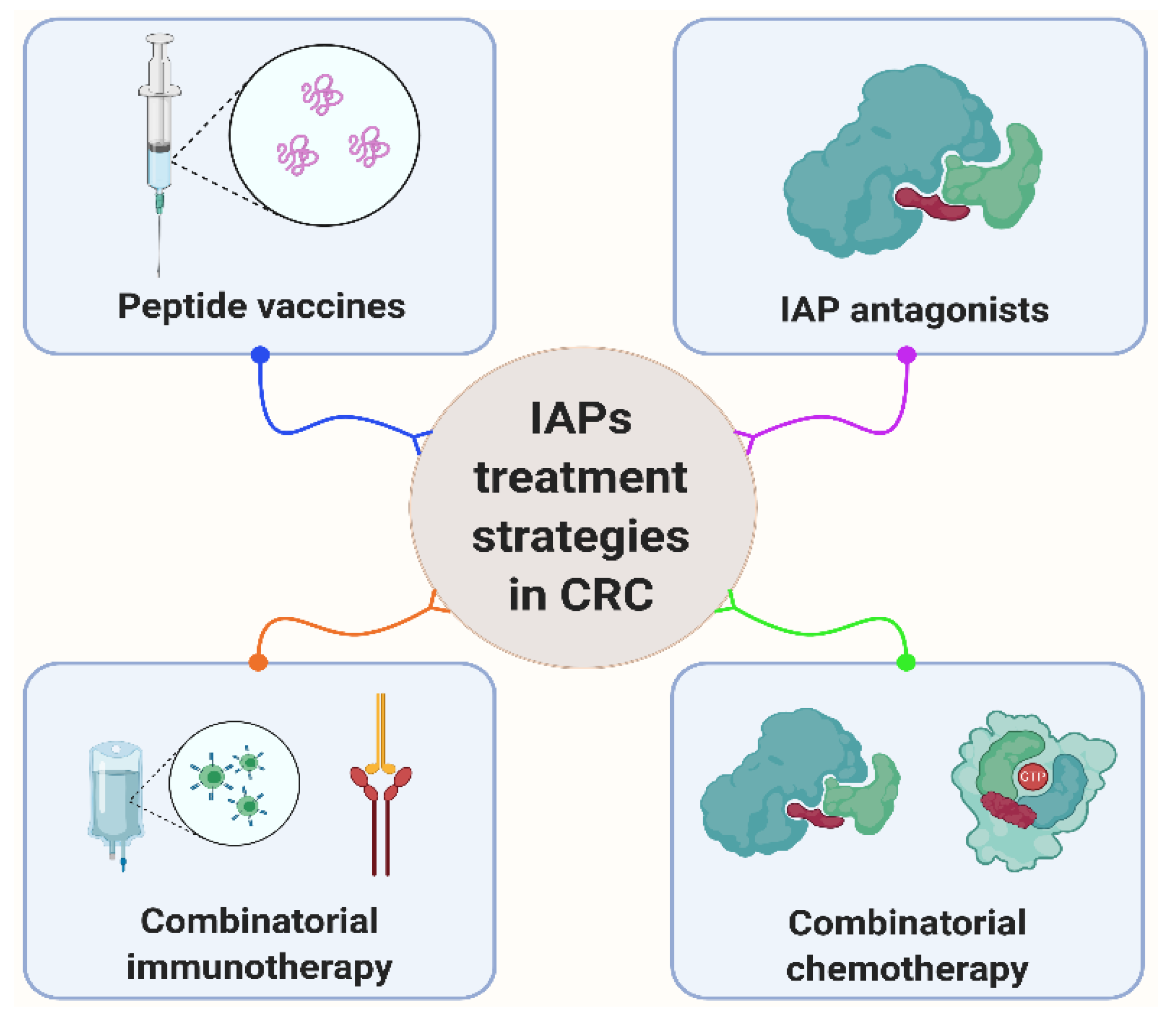 Cancers 13 00624 g003