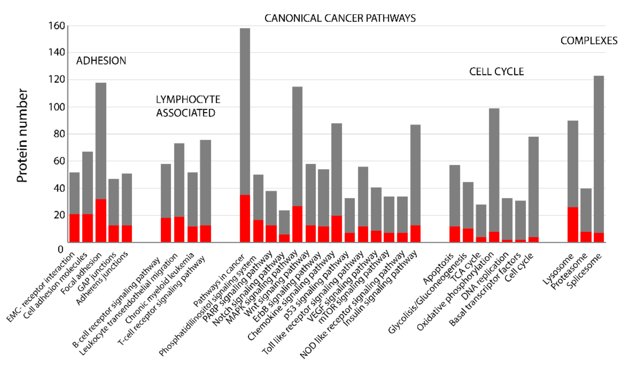 Cancers 13 00630 g003