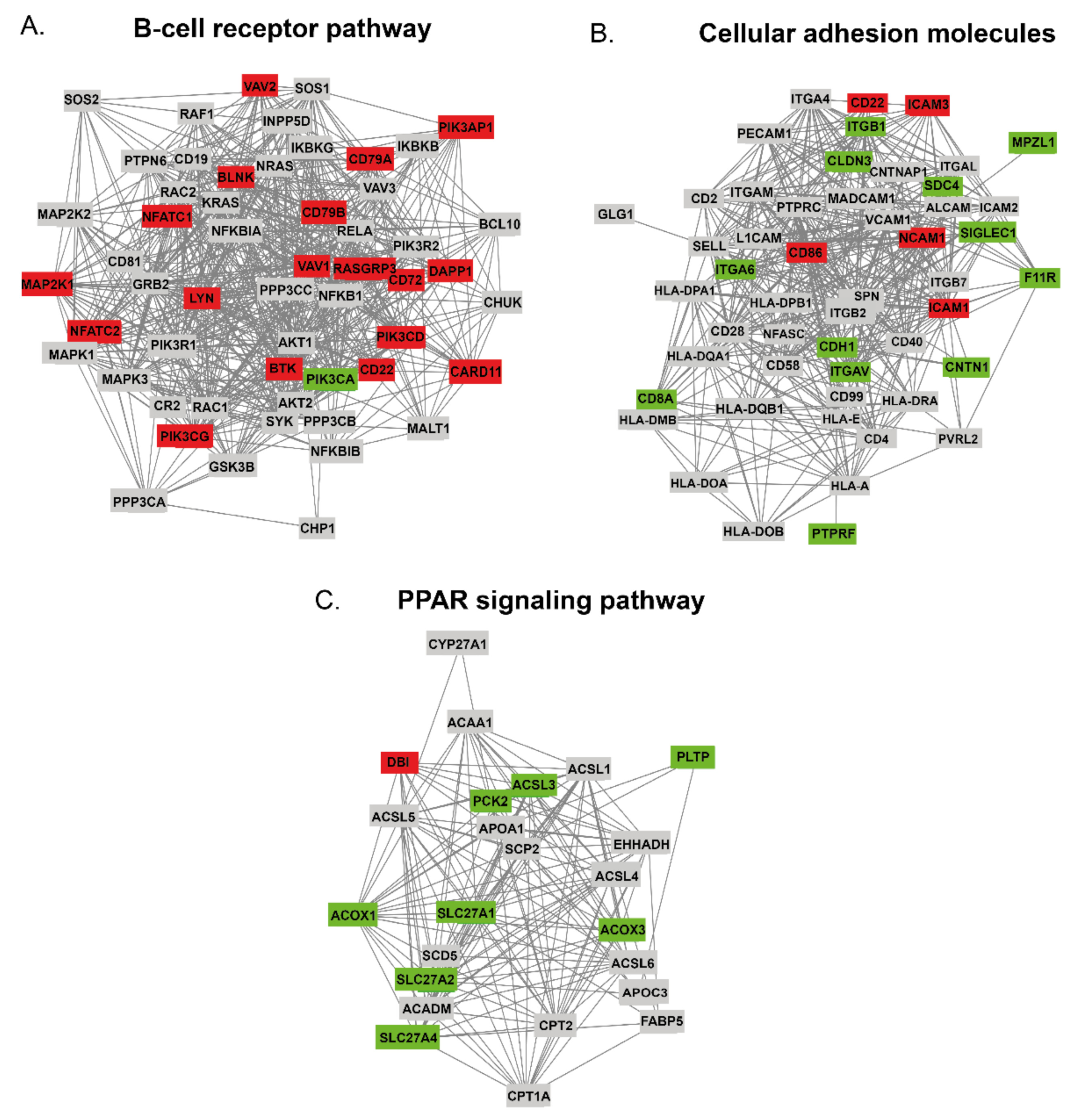 Cancers 13 00630 g004