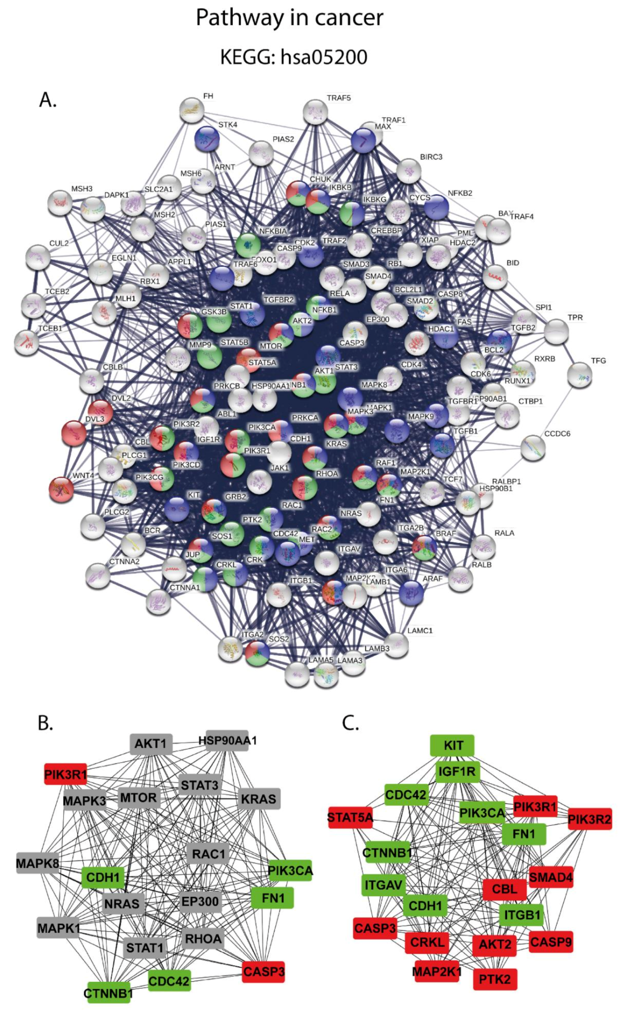 Cancers 13 00630 g005